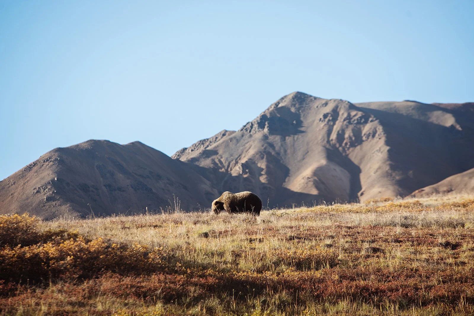 A Path to Ecological Restoration