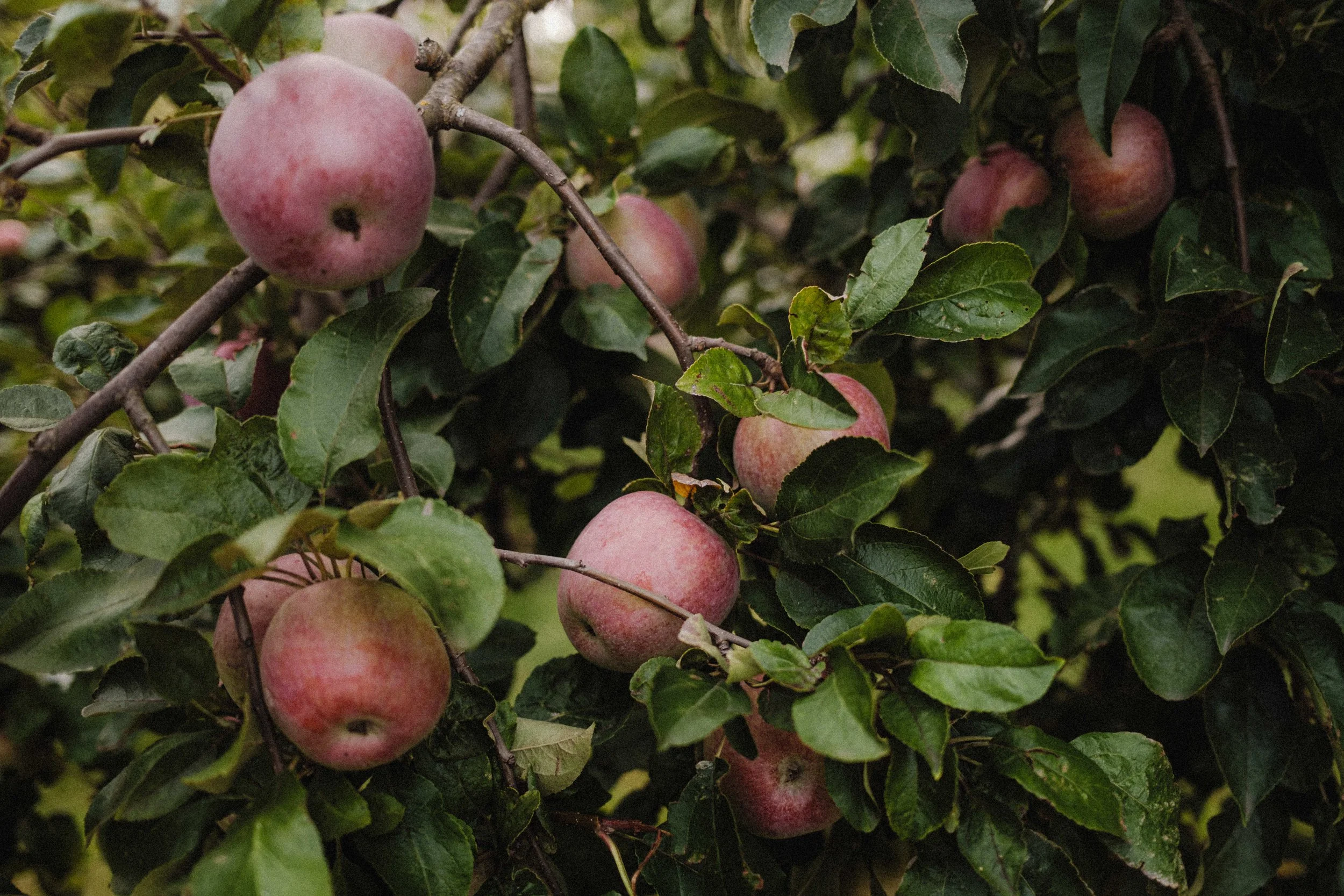 5 Earth-Friendly Projects That Make a Real Difference