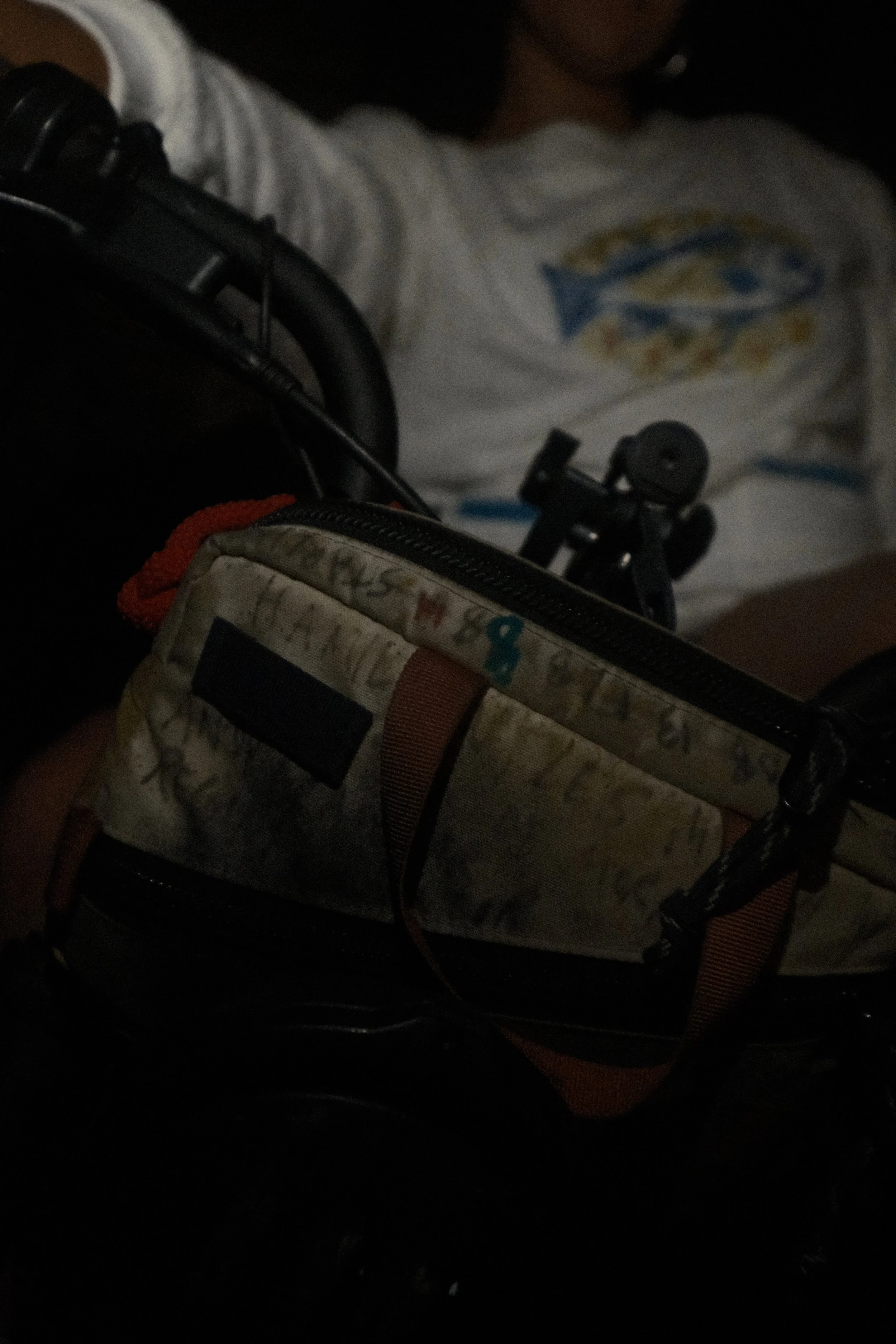 DSCF2195.JPG
