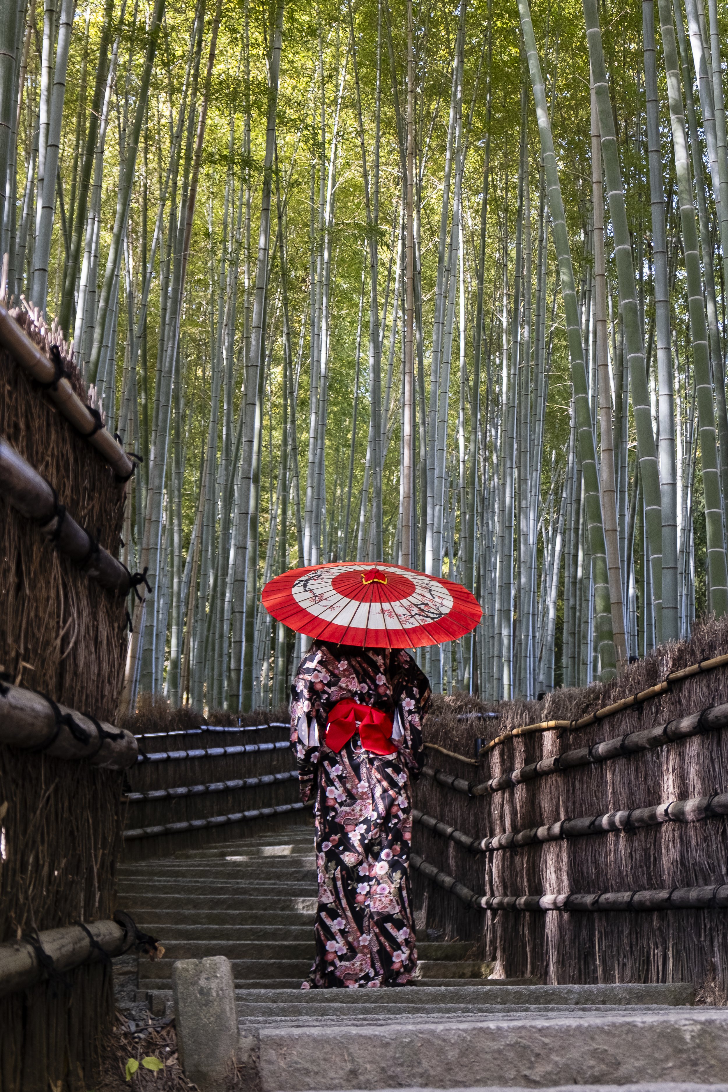 Japan-2.jpg