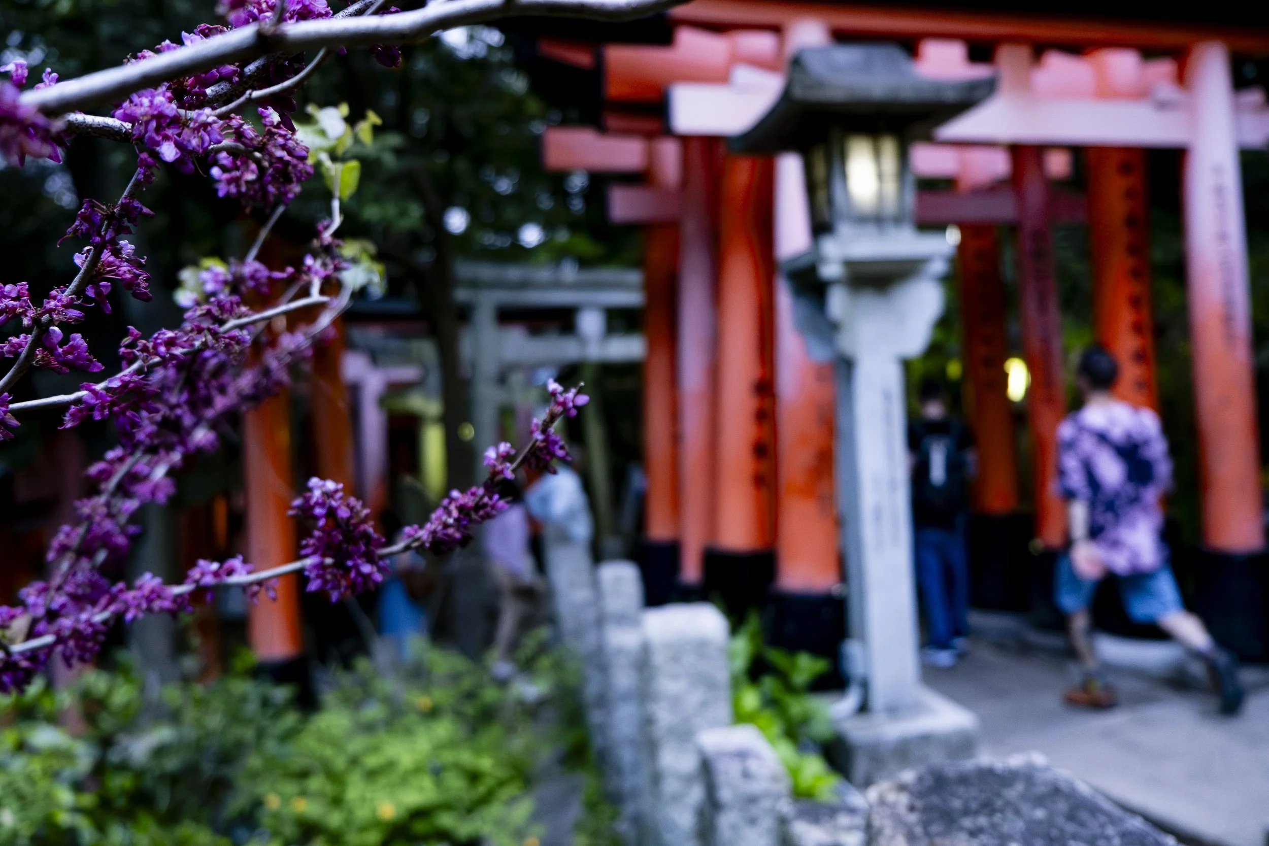 Japan-10.jpg
