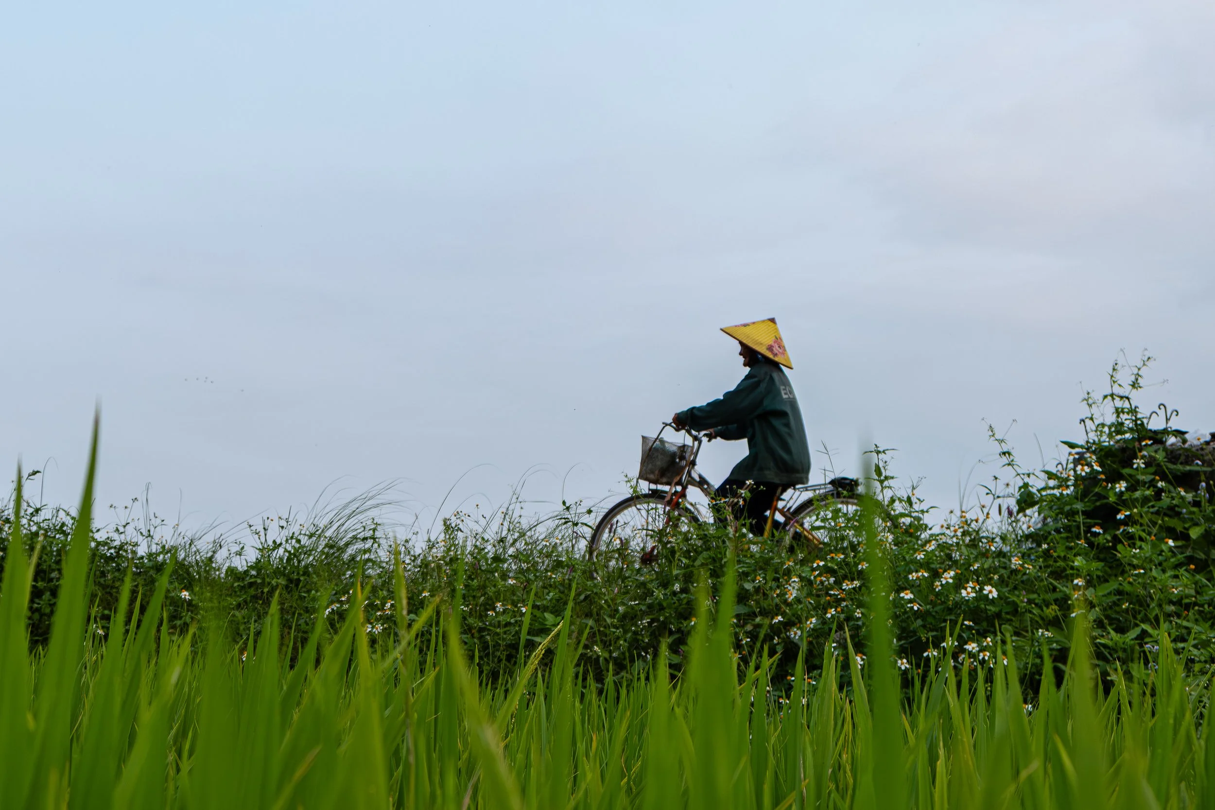 Vietnam
