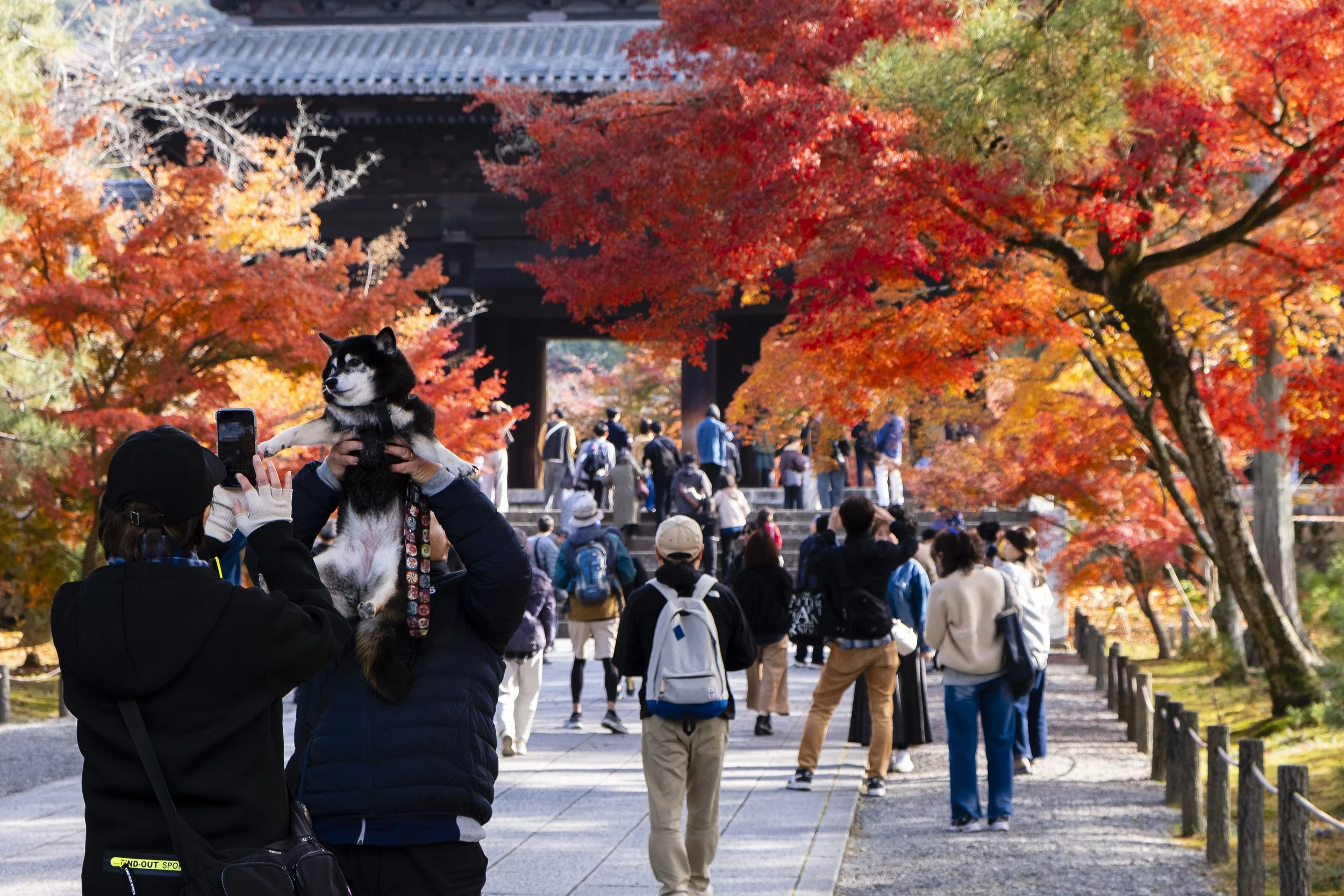 Japan-3.jpg