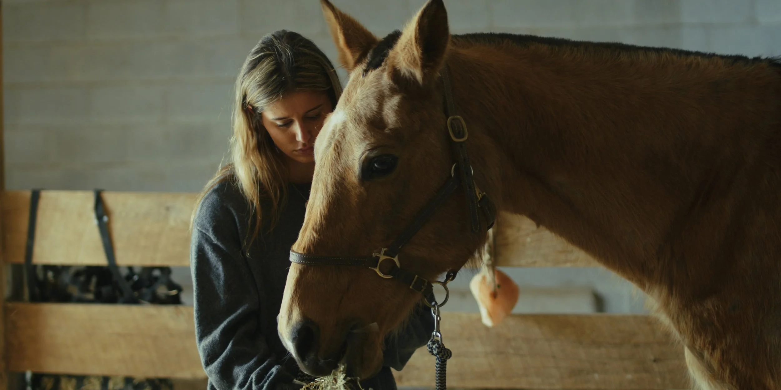 A woman with long wavy hair wearing a dark sweater is gently holding the head of a brown horse inside a stable.