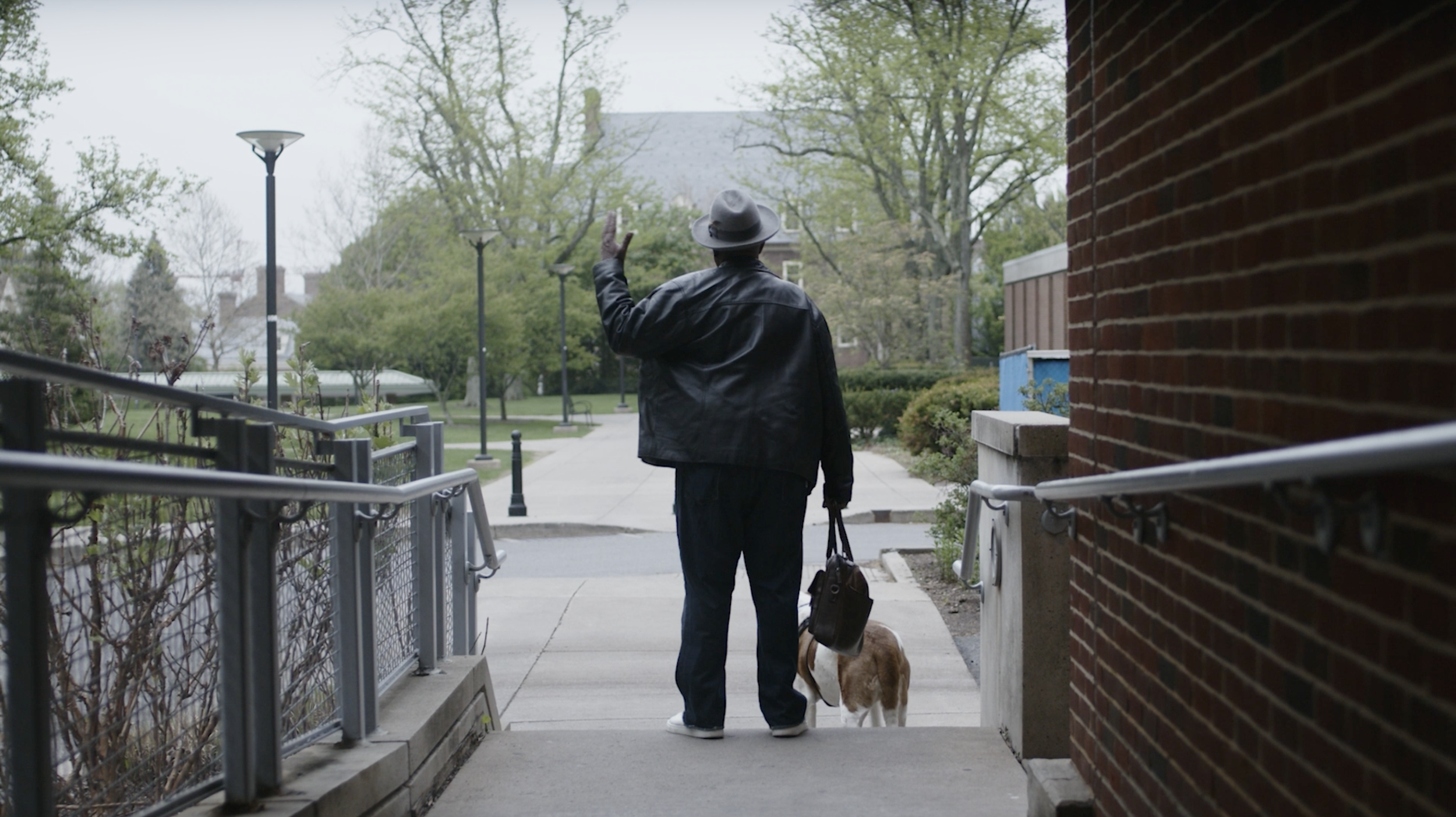 Person walking a dog in an urban park area during daytime, waving goodbye.