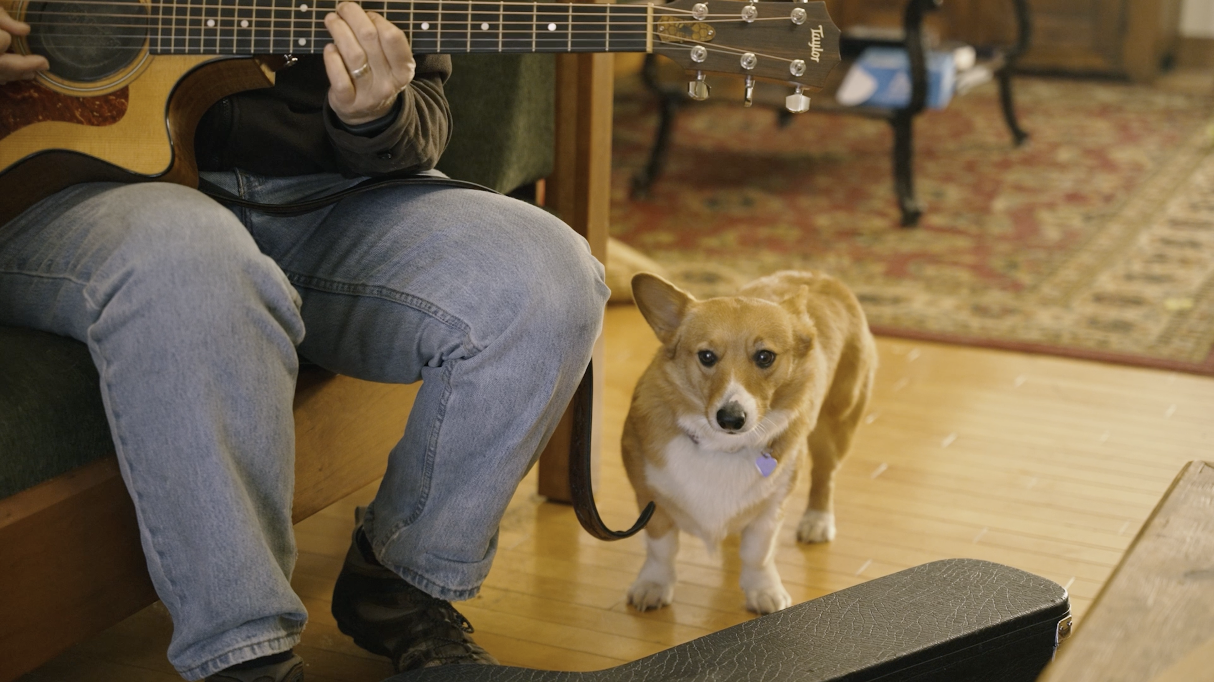 Person playing an acoustic guitar sitting on a bench with a dog standing nearby in a cozy indoor space.