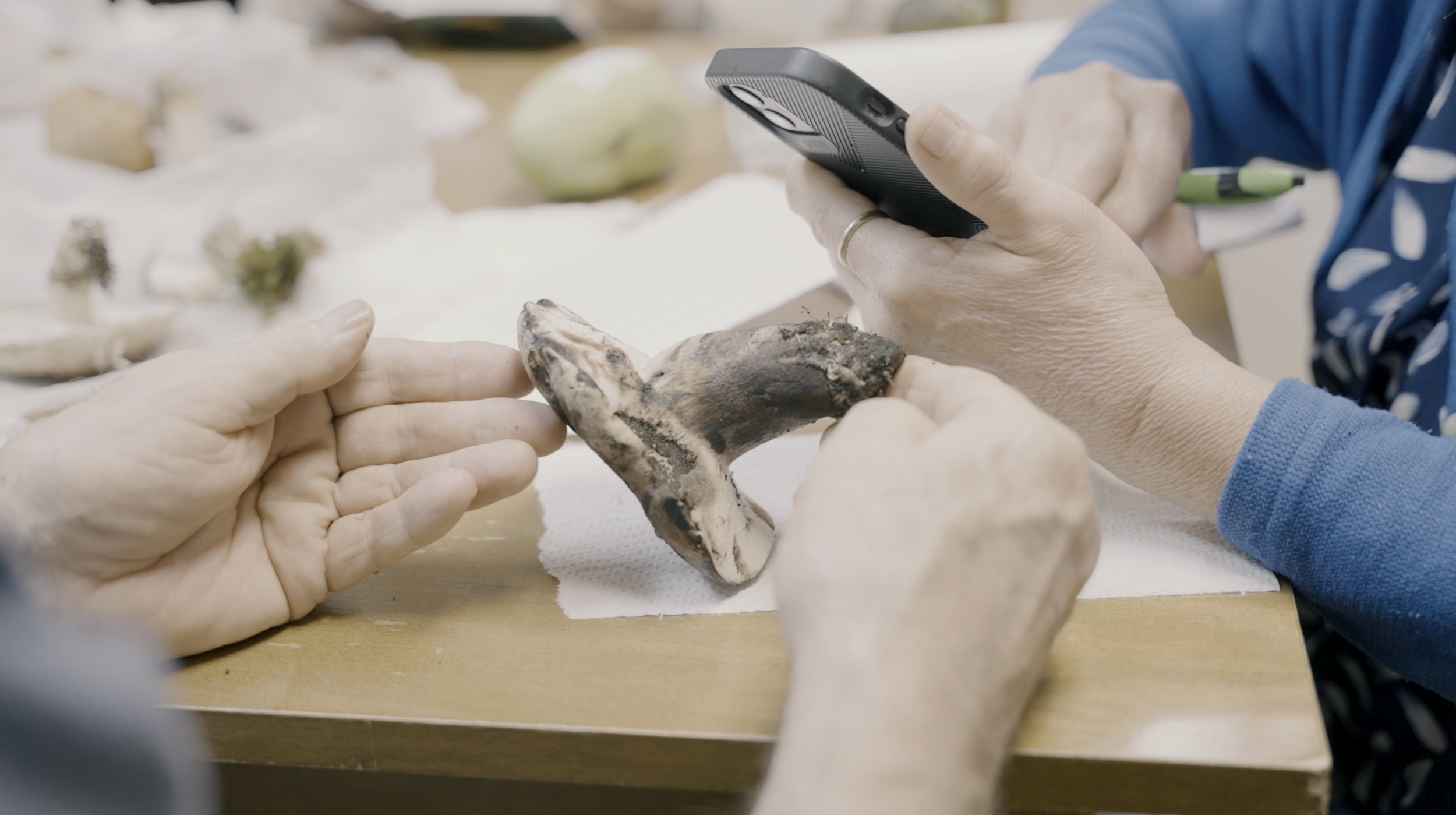 Close-up of hands holding a fossilized bone or tooth, with a person in a blue long-sleeve shirt taking notes nearby.