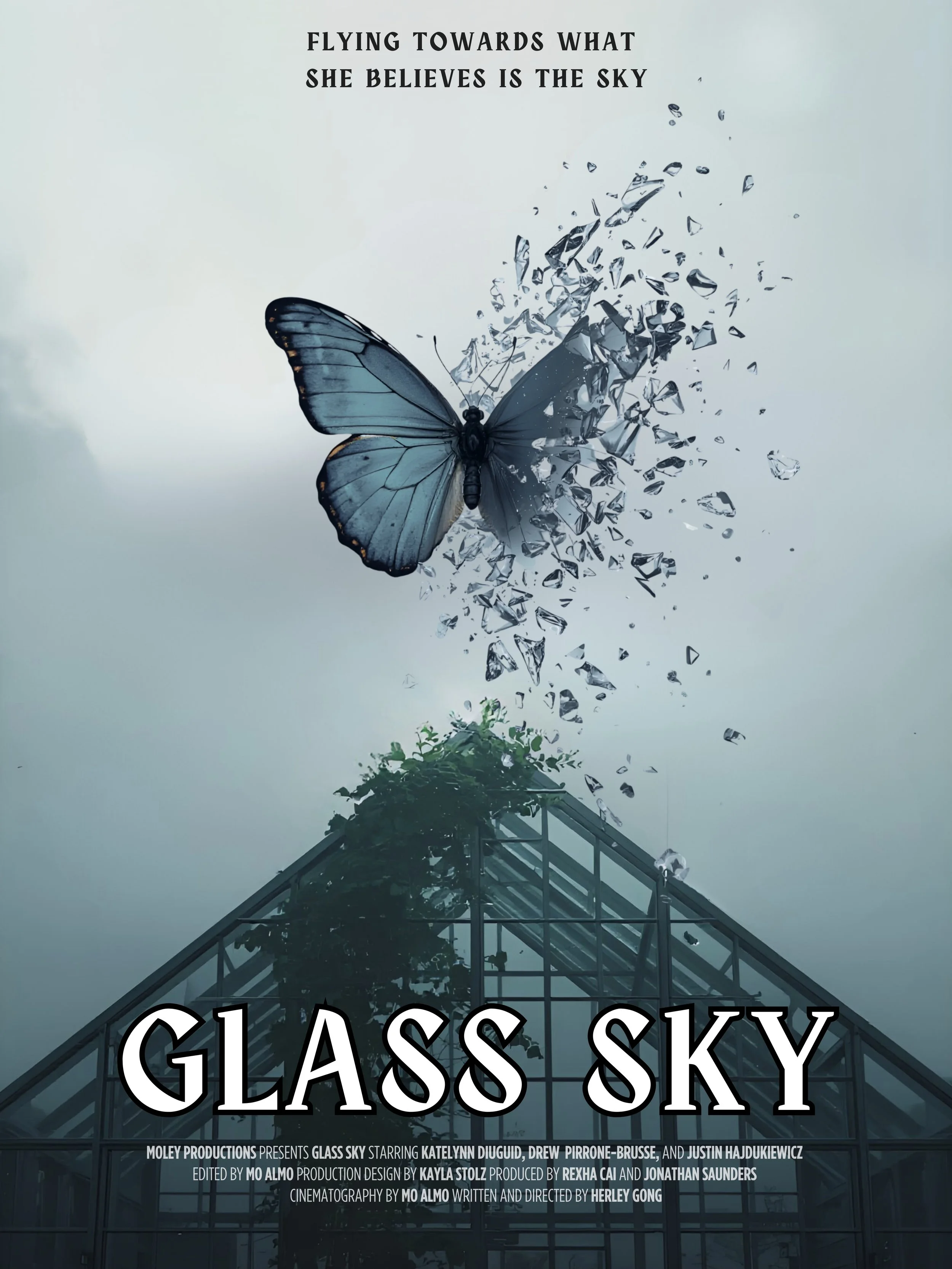 A butterfly appears to be shattering a glass sky, with shards flying outward. The sky in the background is overcast and cloudy. The title "Glass Sky" is written prominently across the bottom of the image, suggesting a film poster or artwork.
