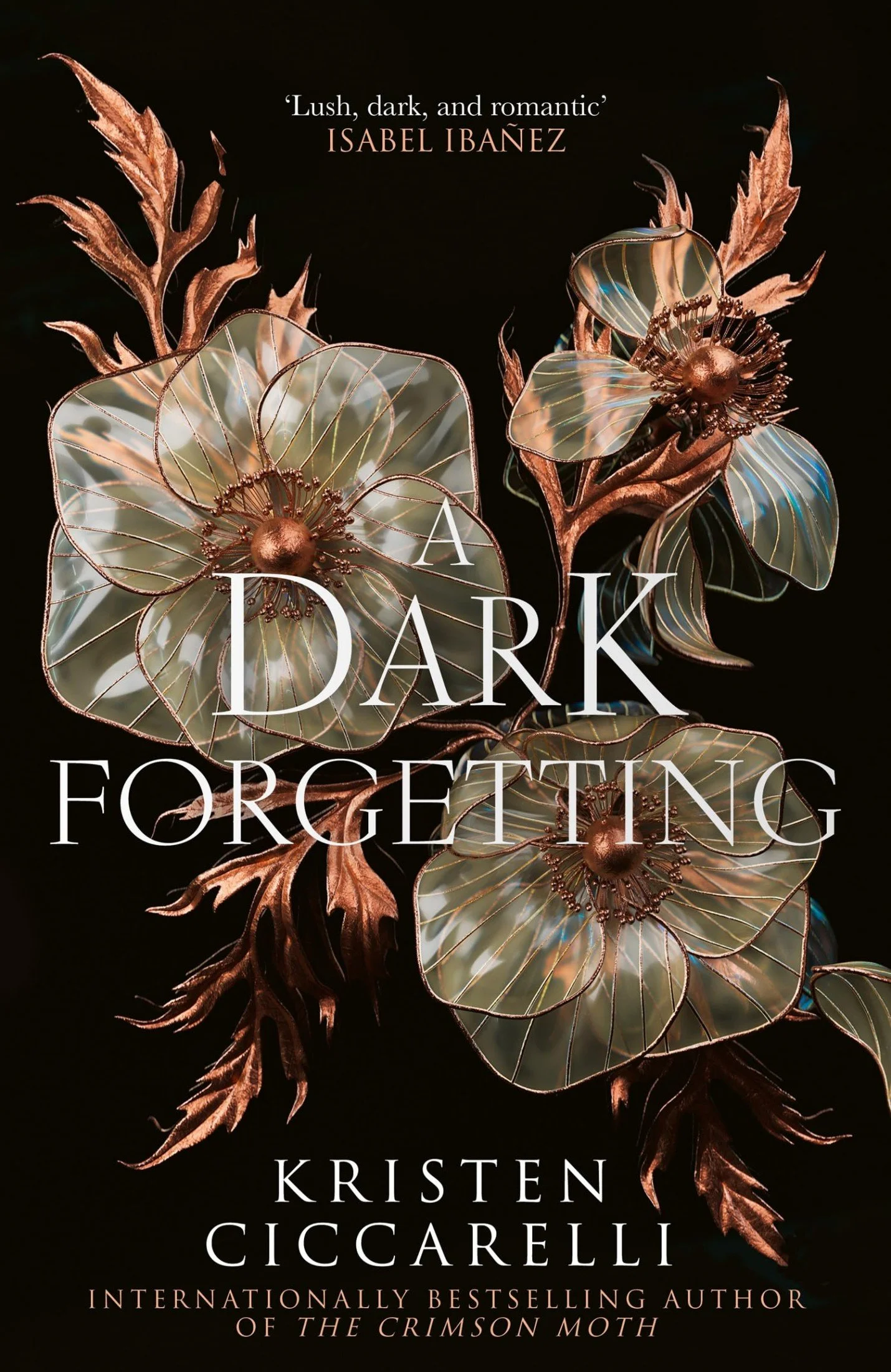 A Dark Forgetting - Kristen Ciccarelli.jpg