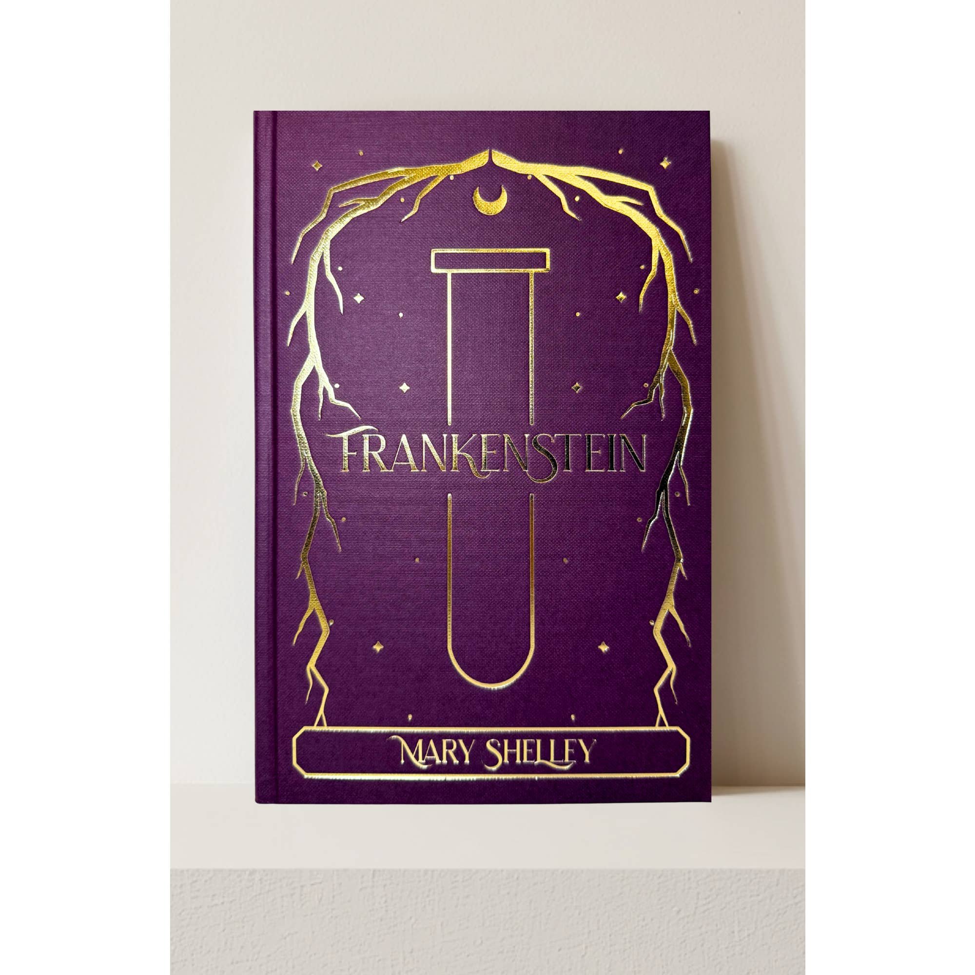 frankenstein-mary-shelley-wordsworth-empress-edition-3.jpg