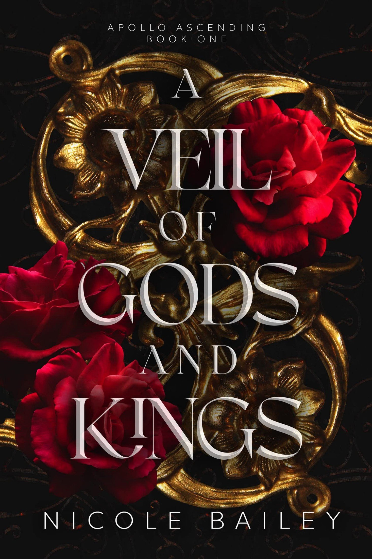 A Veil of Gods and Kings - Nicole Bailey.jpg