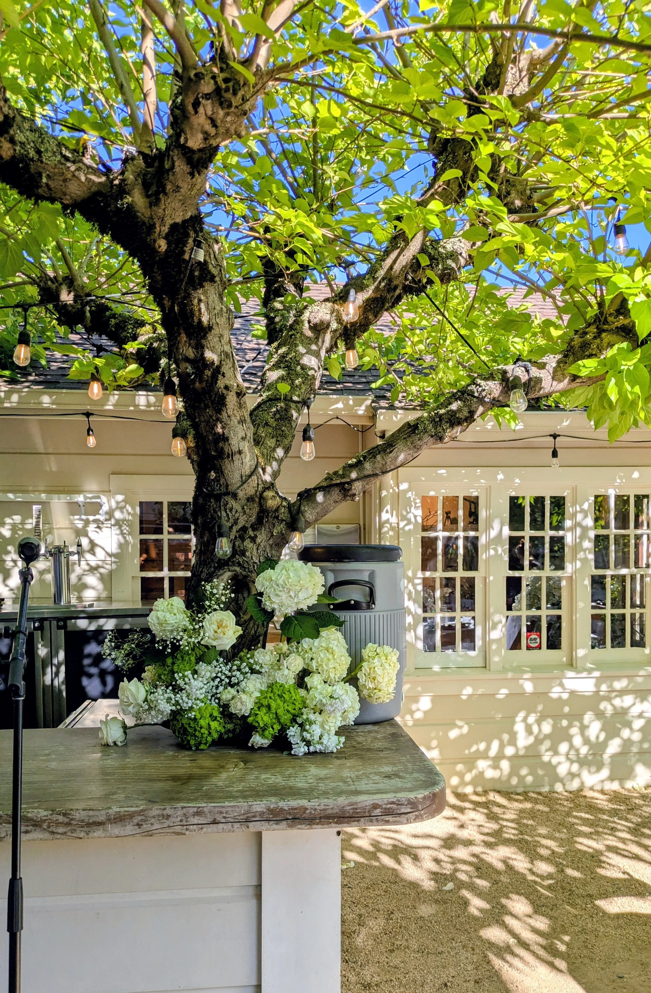 A backyard scene with a large tree adorned with string lights, a table with a flower arrangement, and a house with white walls and windows in the background.