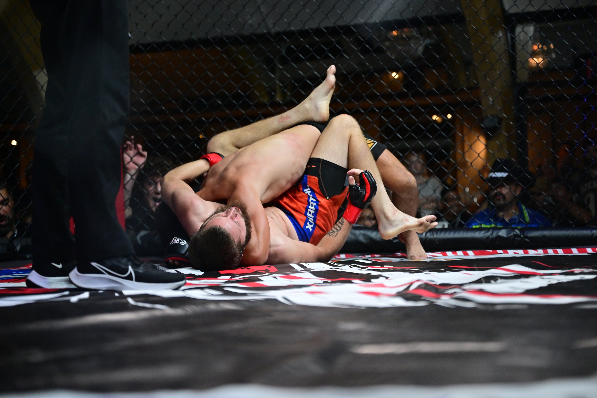 MMA '26 - 1981.JPG