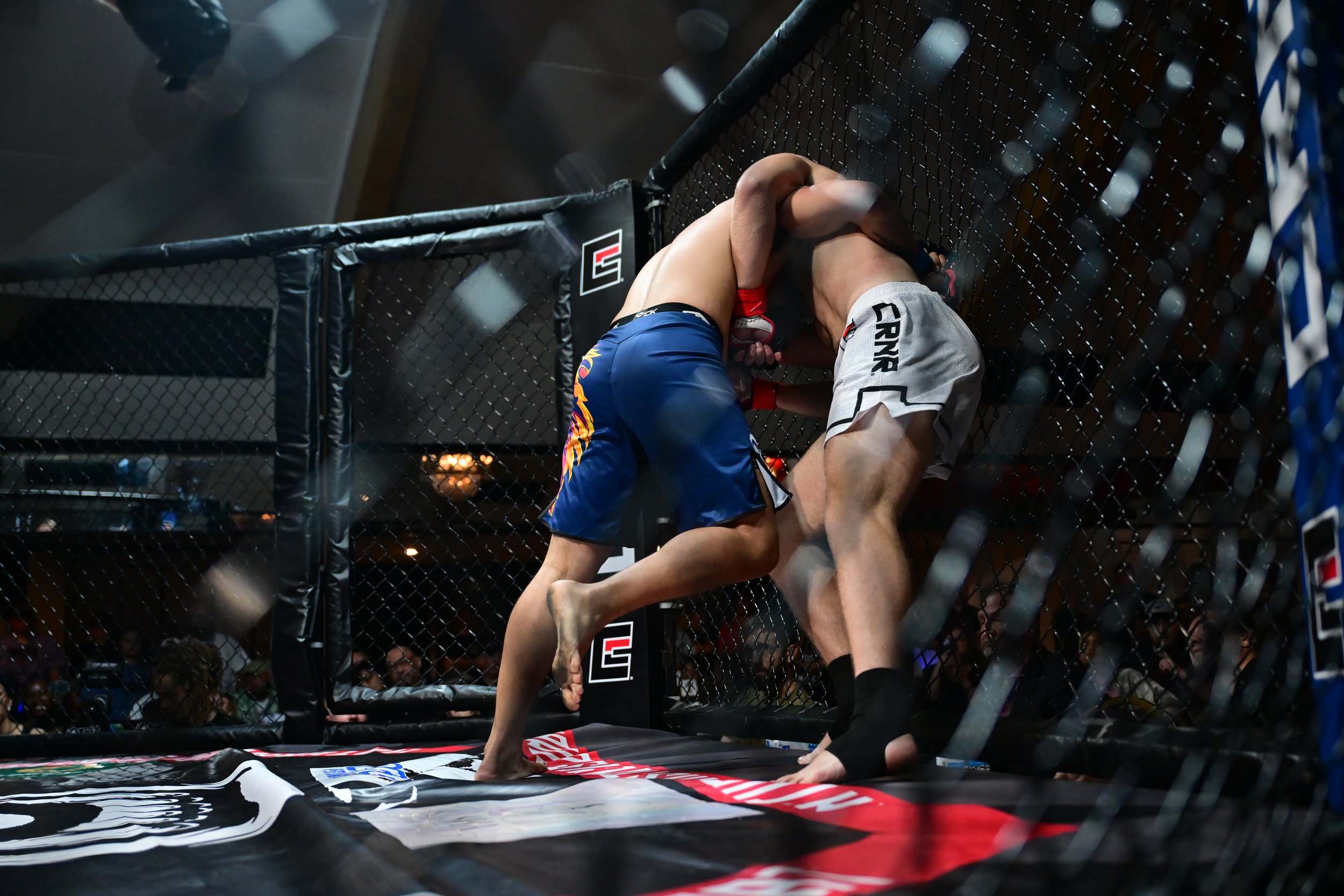 MMA '26 - 2603.JPG