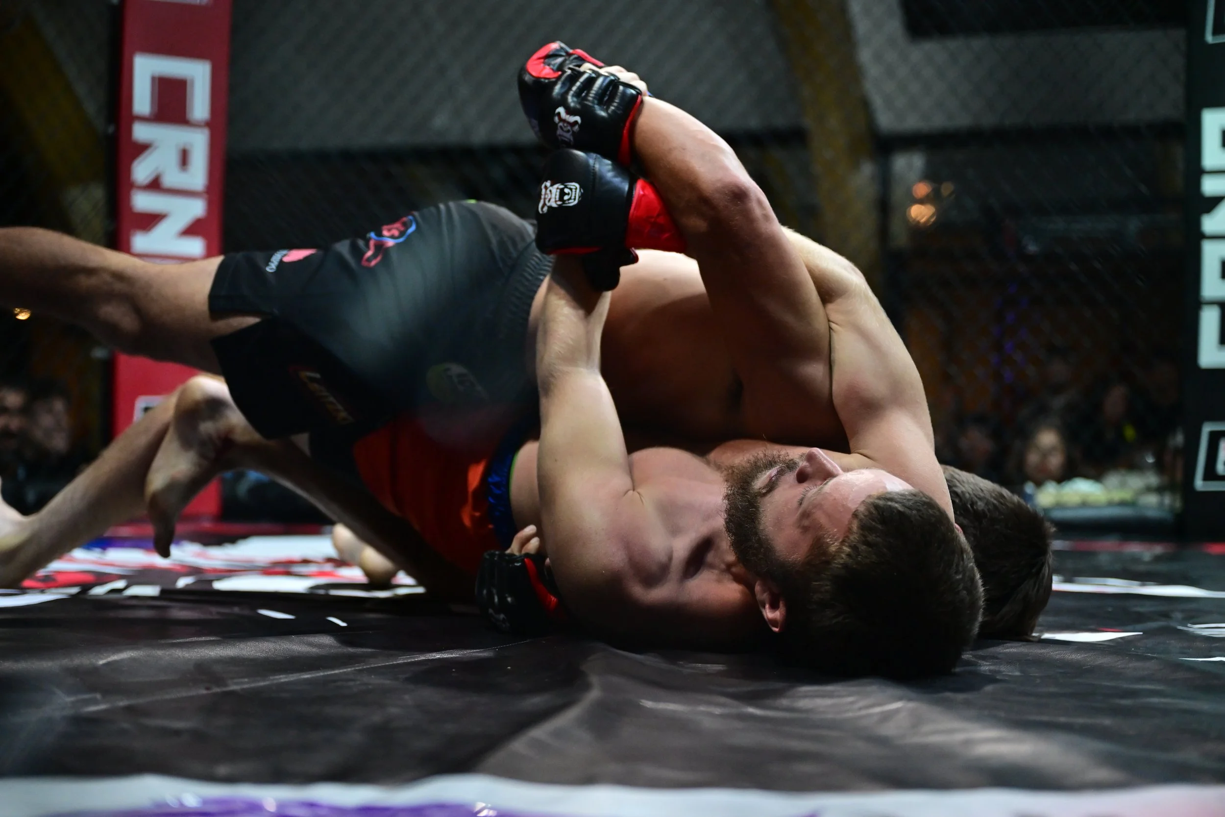 MMA '26 - 1895.JPG