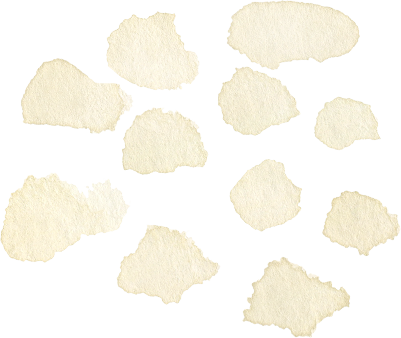 Scattered pieces of torn, textured, off-white paper.