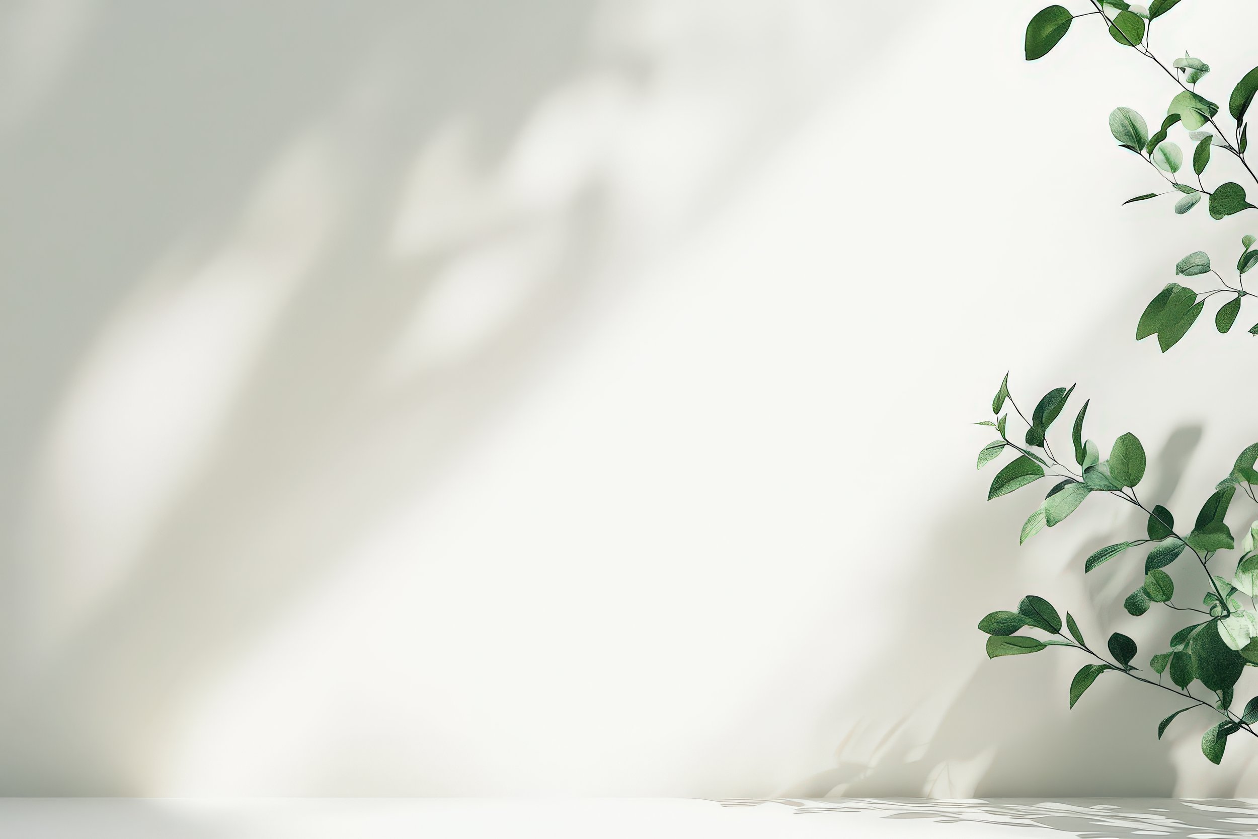 Clean and Clear White wall with a plant forming a light shadow