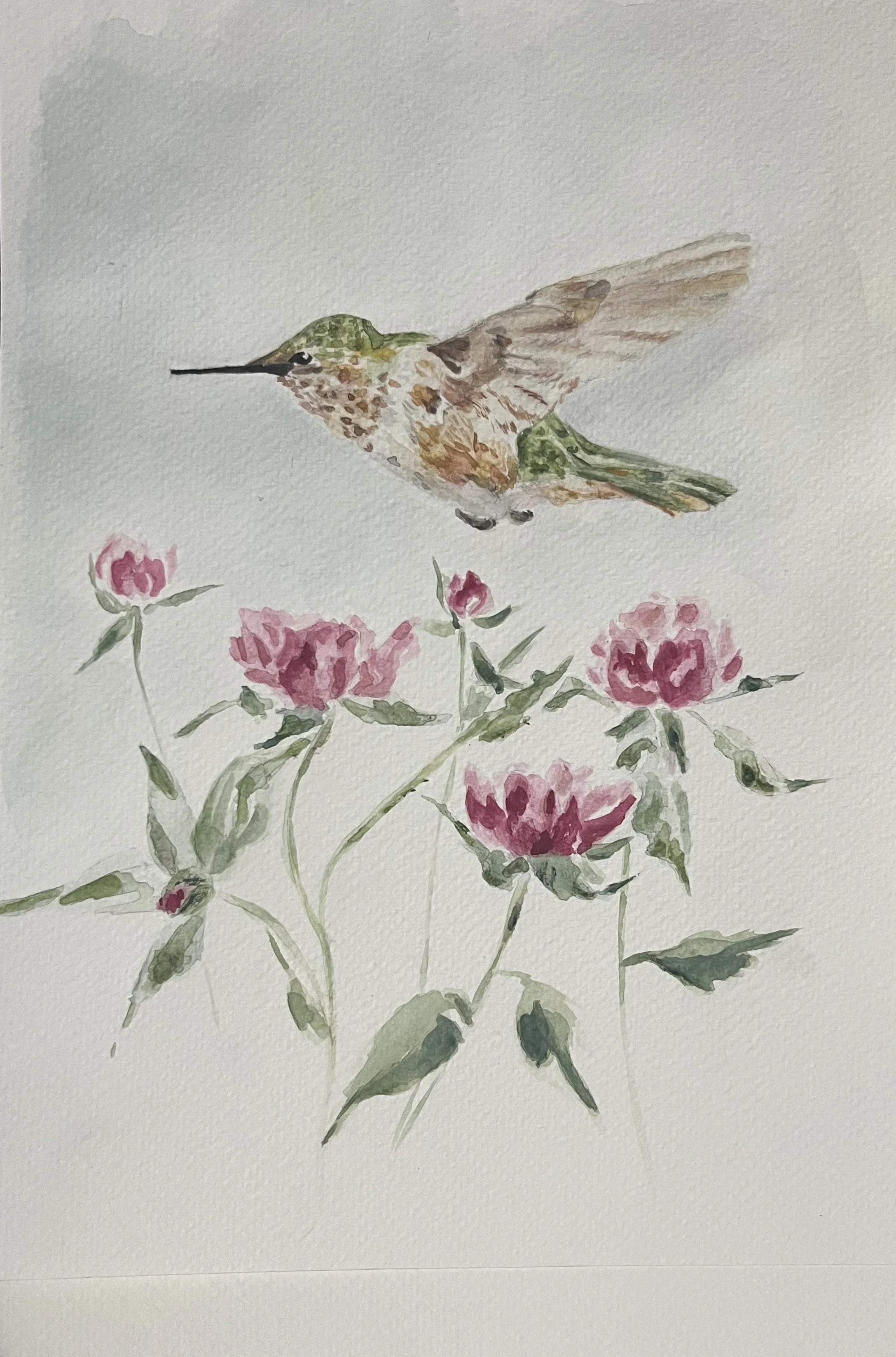 Bird_Flower_Edited.jpeg