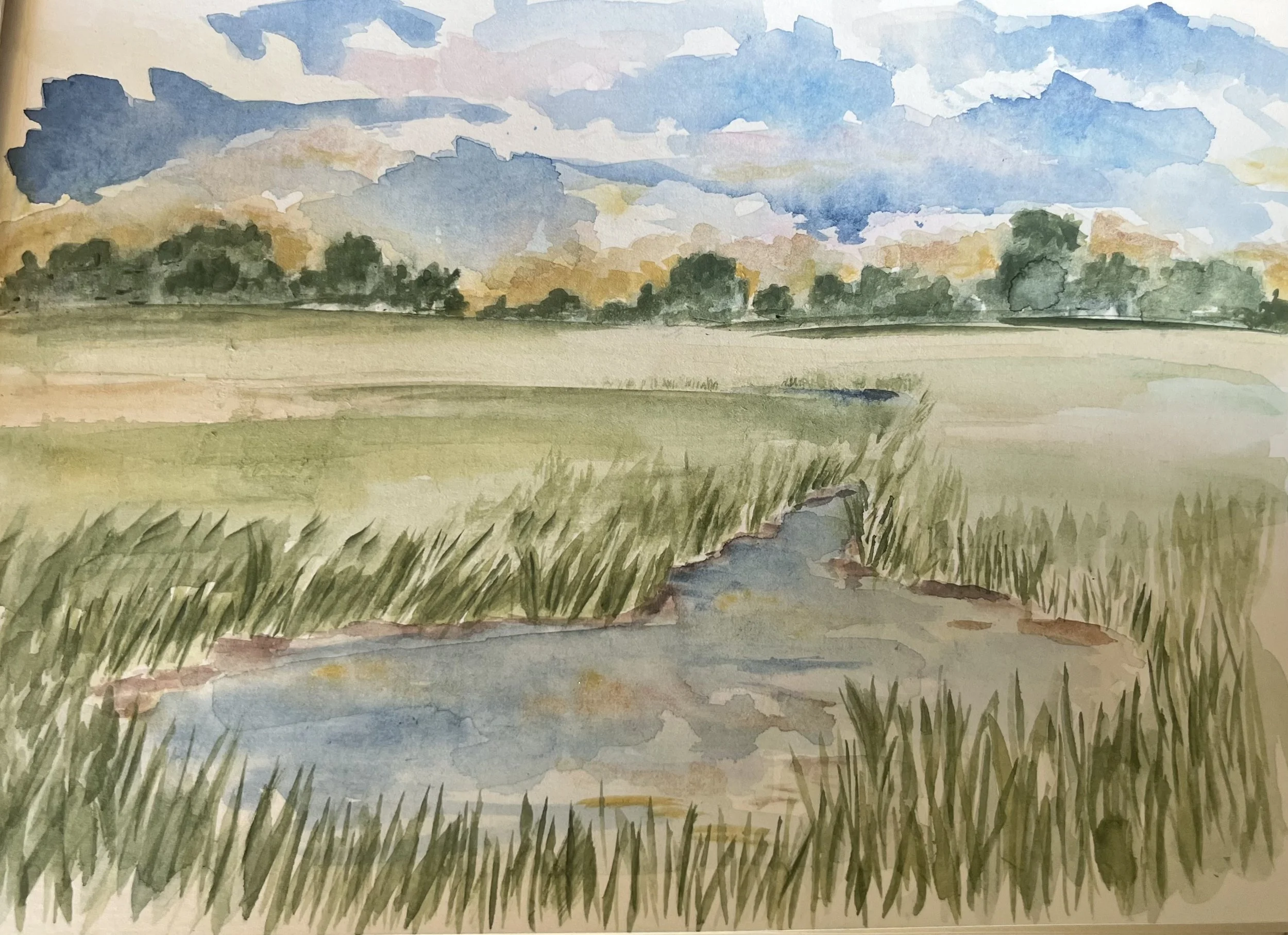 Pond_Field_Or..jpeg