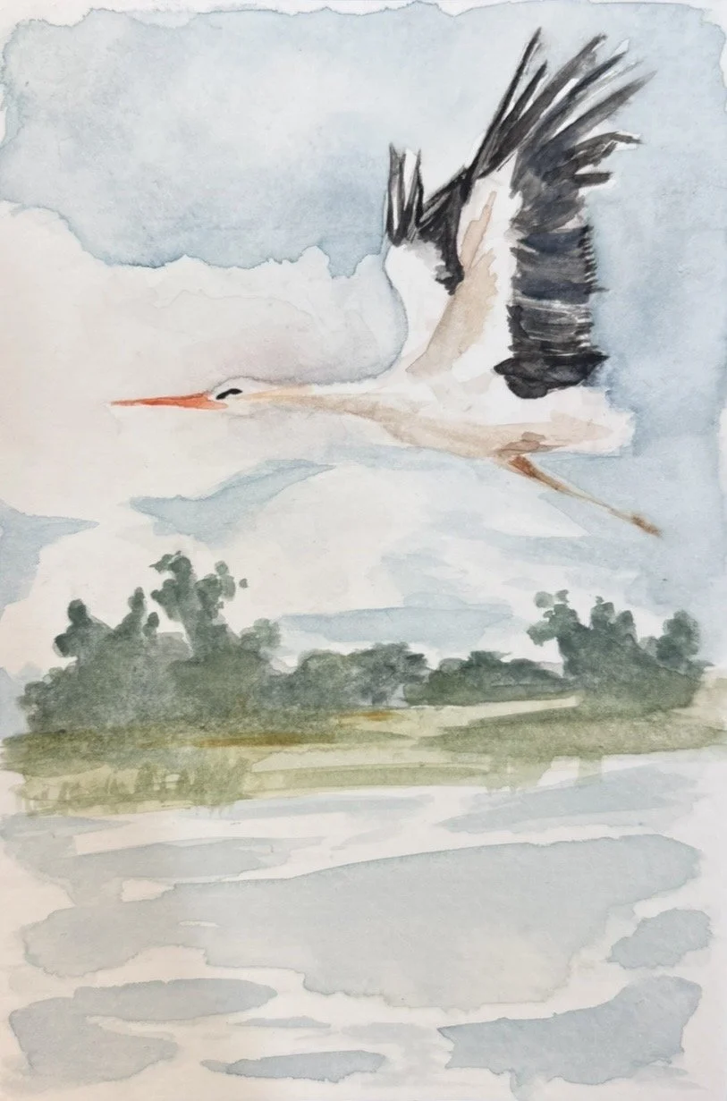 Happy_Crane.jpg