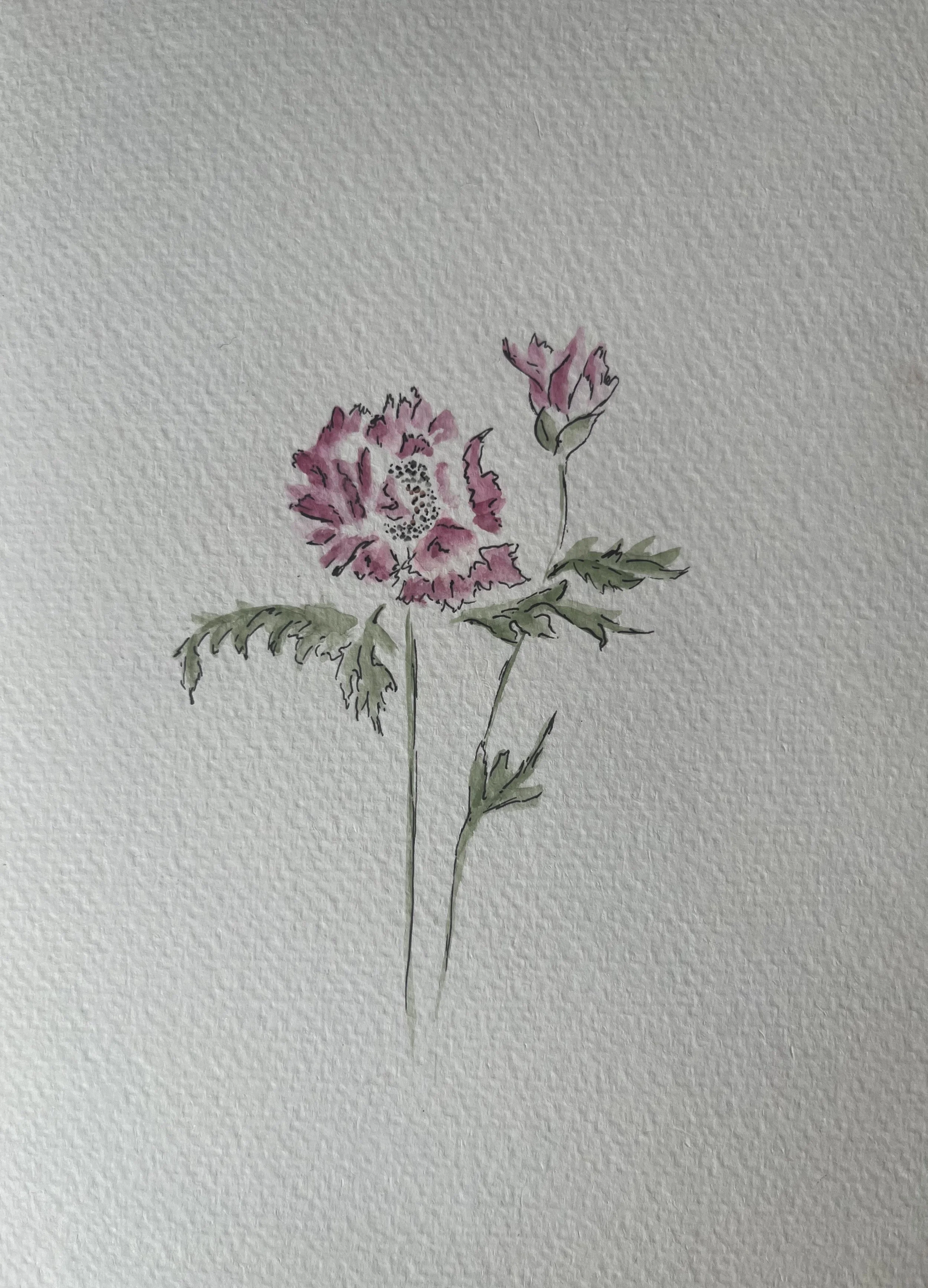 Flower_Edited.jpeg