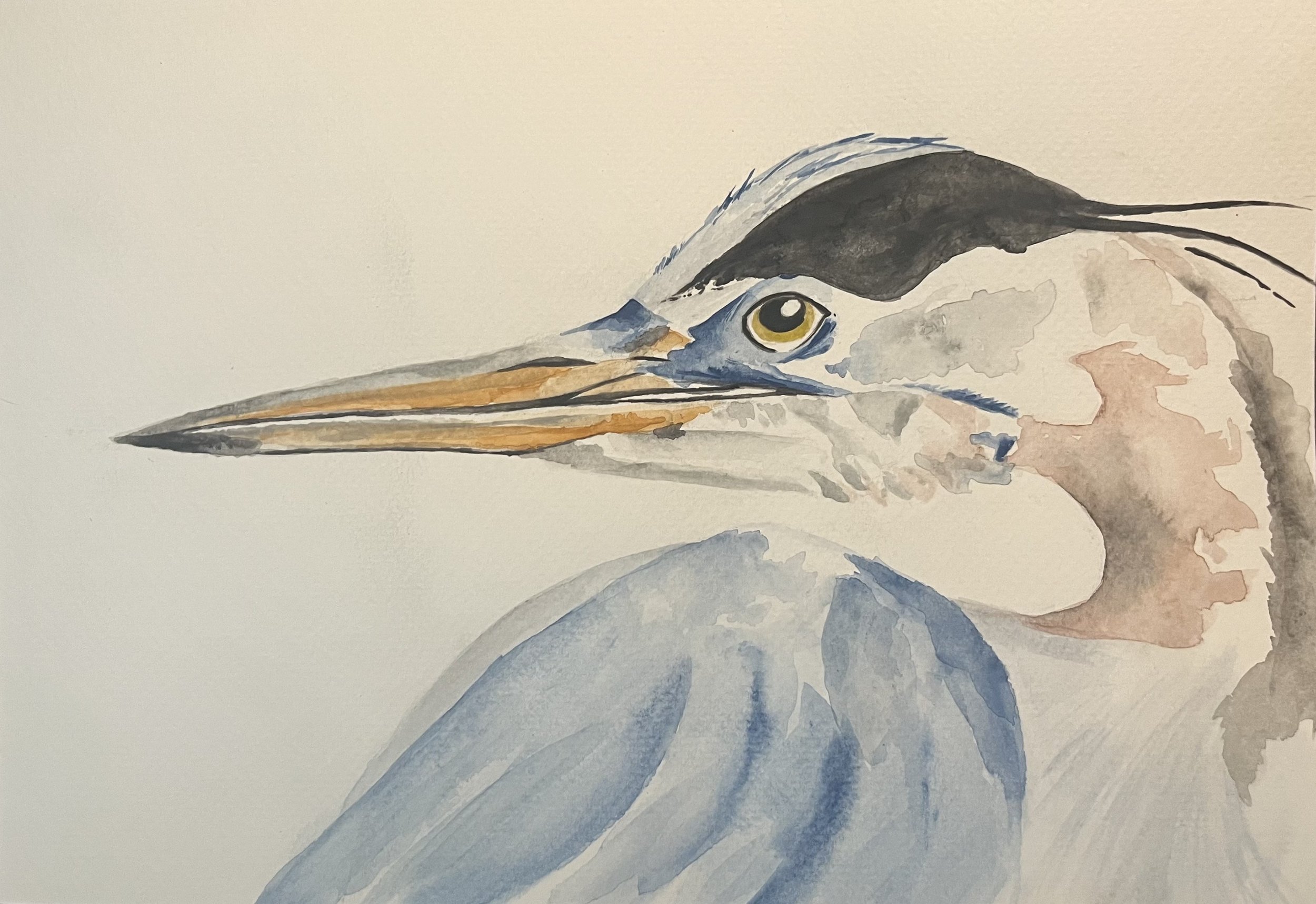 Blue Heron_Edited.jpeg