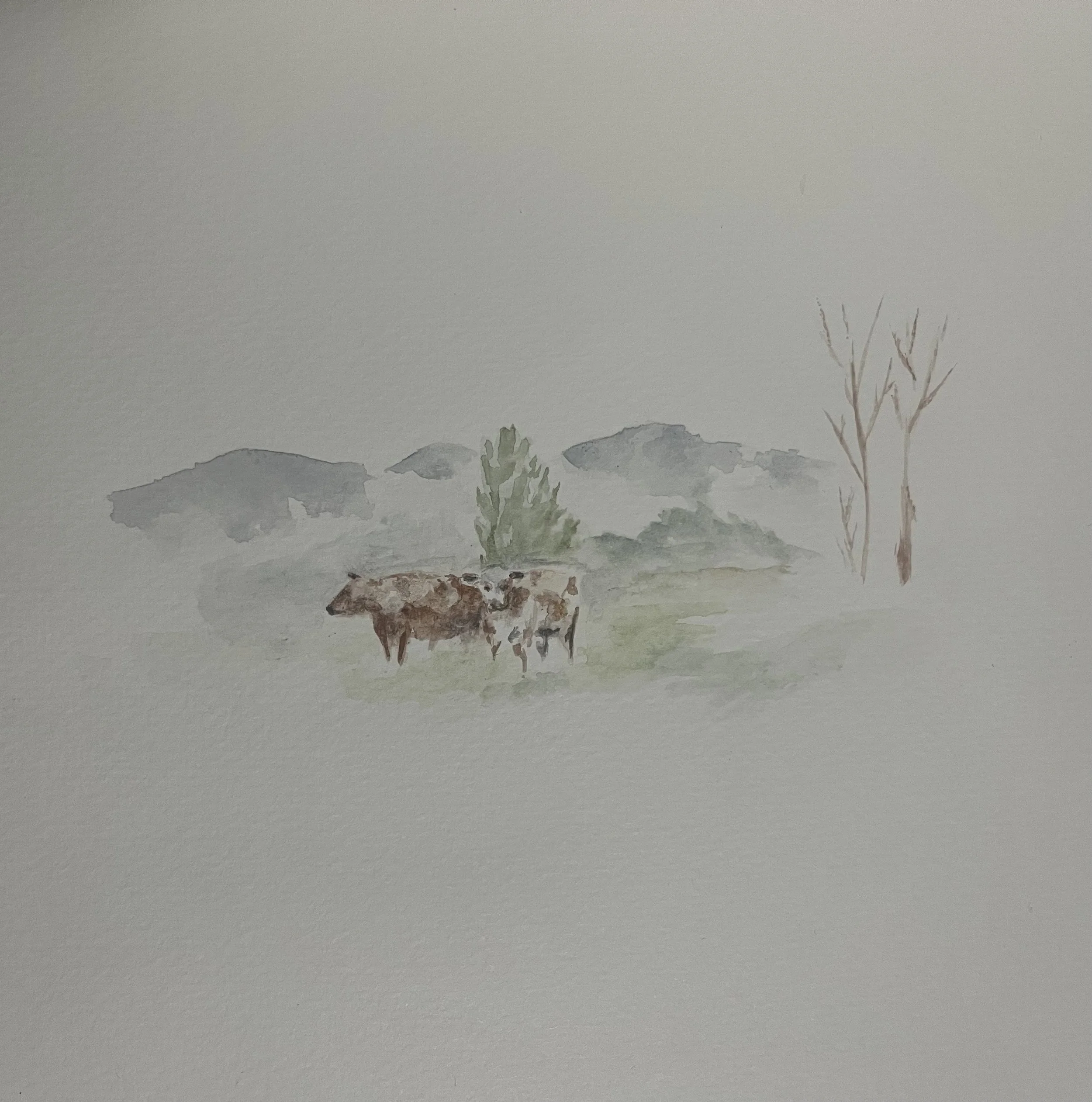 Cow_Field_Or..jpeg