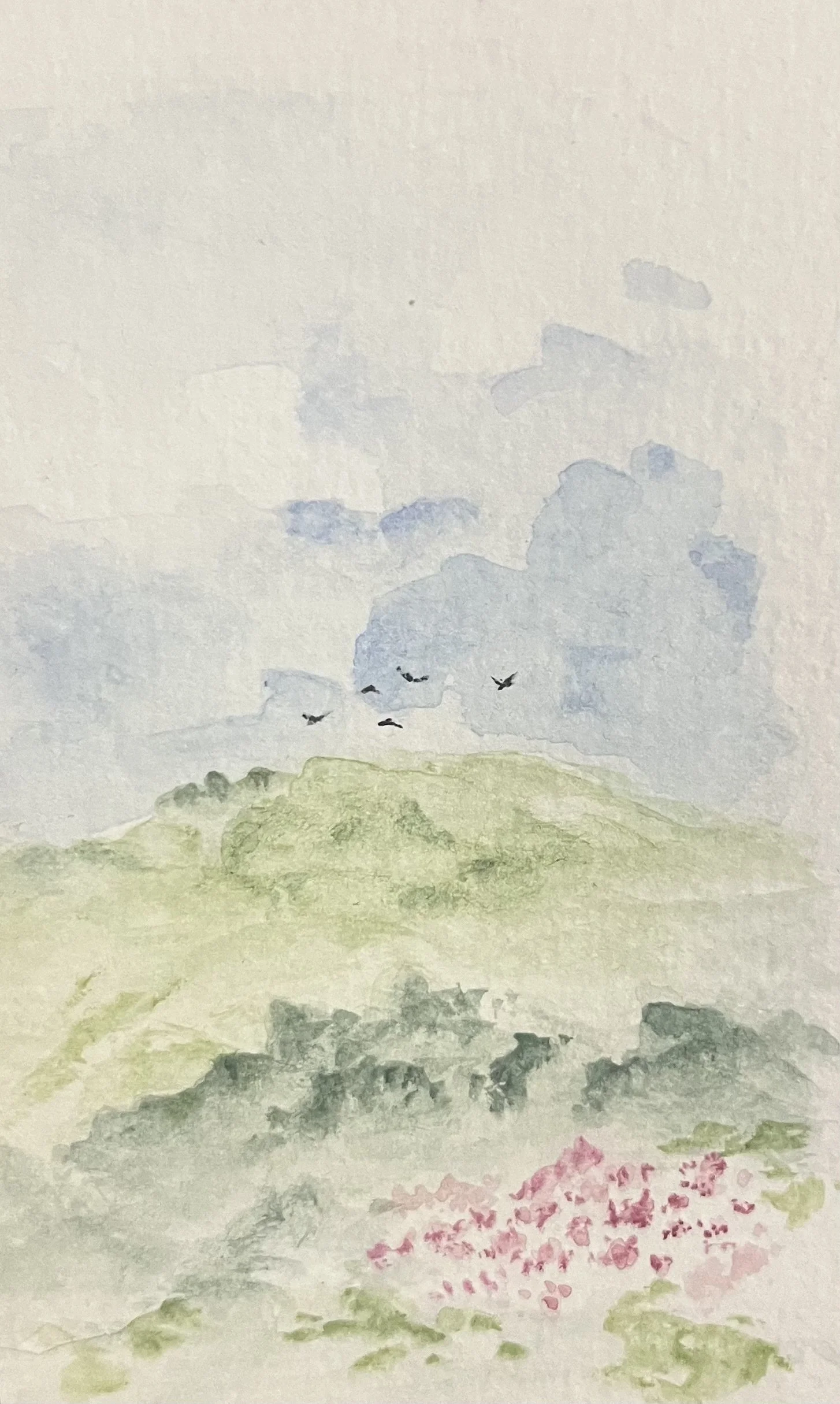 RollingHills_Birds_Or..jpeg