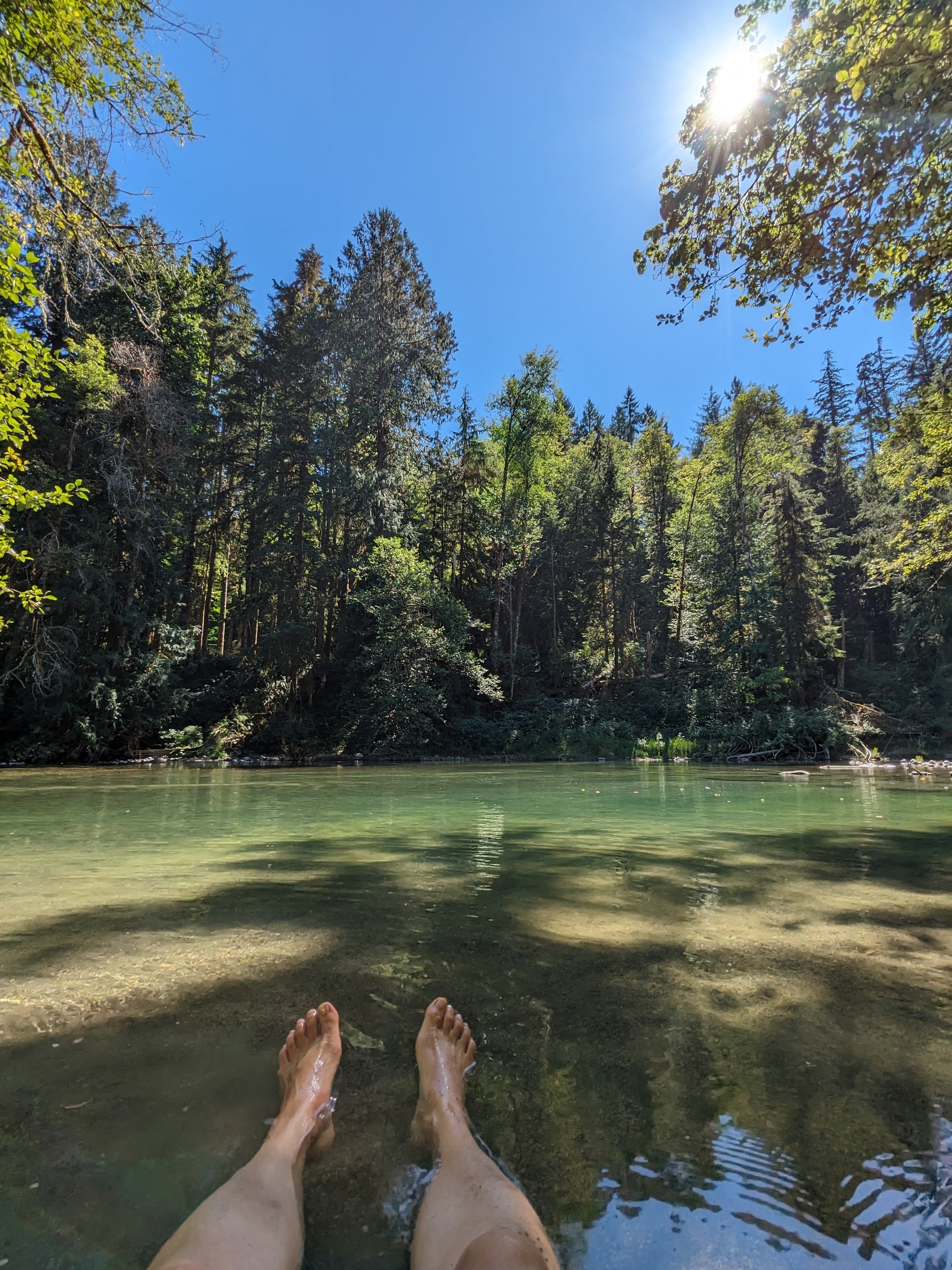 Person relaxing in a river with a view of forest and blue sky, sun shining.