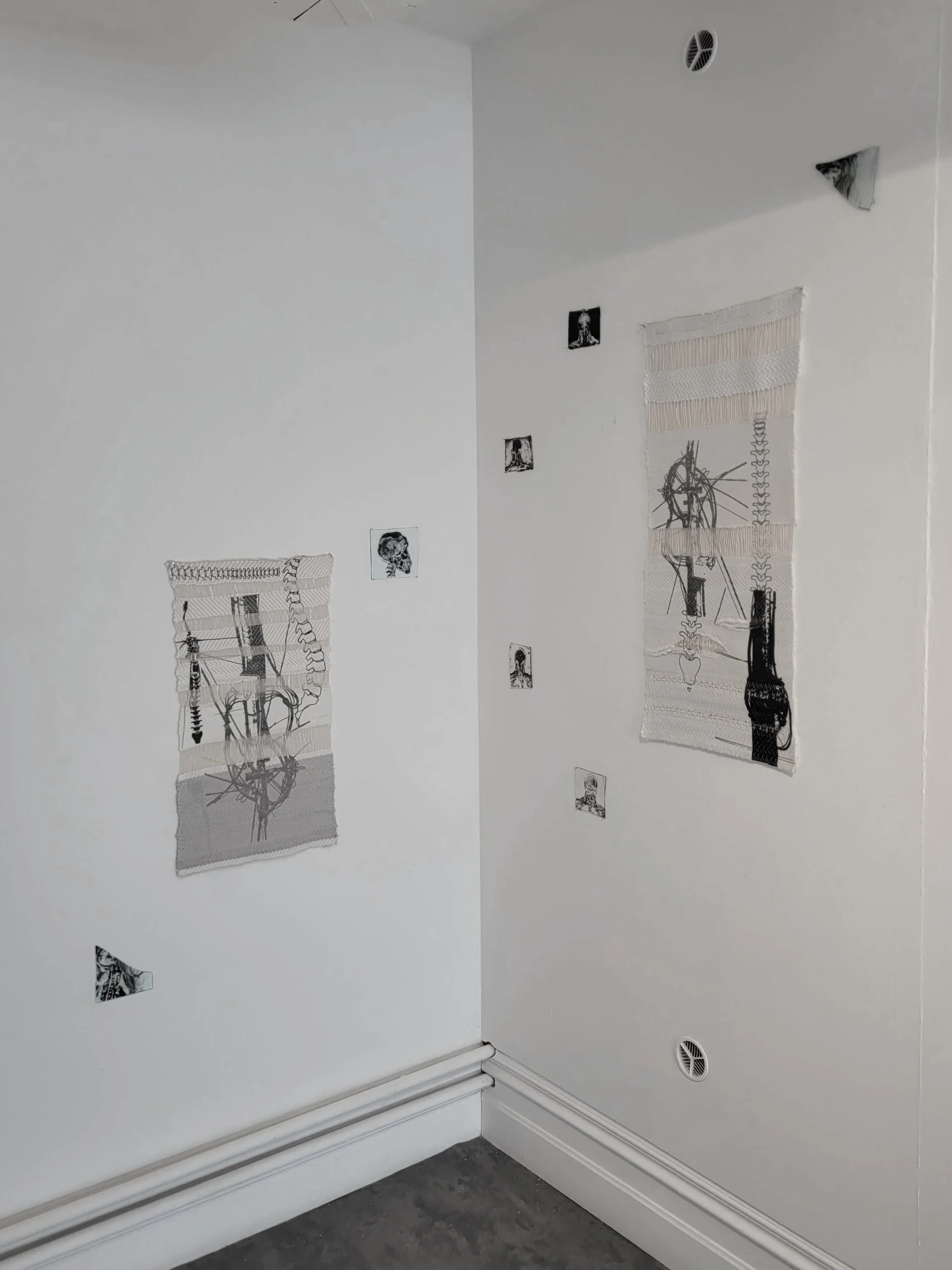 My installation "Autonomous Vessel," consisting of two large sublimation printed  polyacrylic weave/cotton warp tapestries and seven small pieces of glass