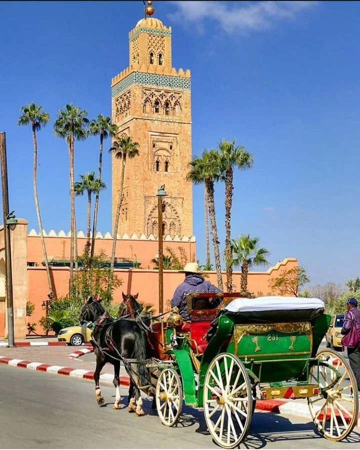 Livraison à domicile Marrakech Livreur marrakech à domicile delivery Marrakech Livraison médicaments nuit Marrakech Pharmacie Livraison à McDonald's Livreur pharmacie marrakech