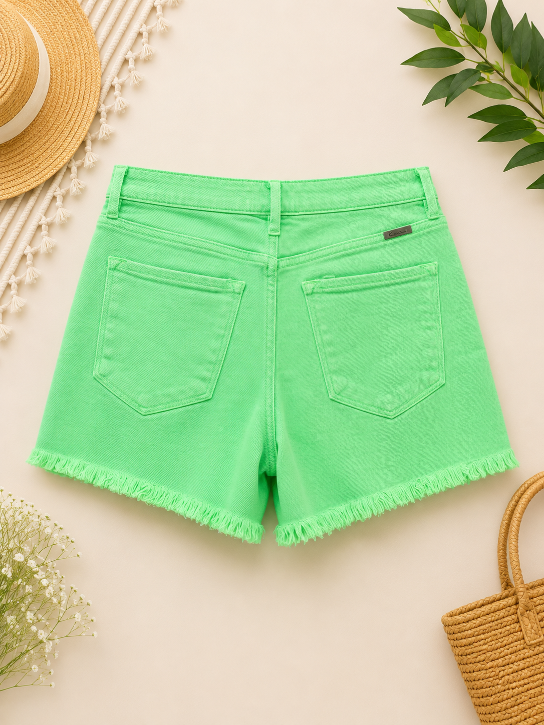1907F93E-0663-4E46-905C-C8B4D5CC7101.png