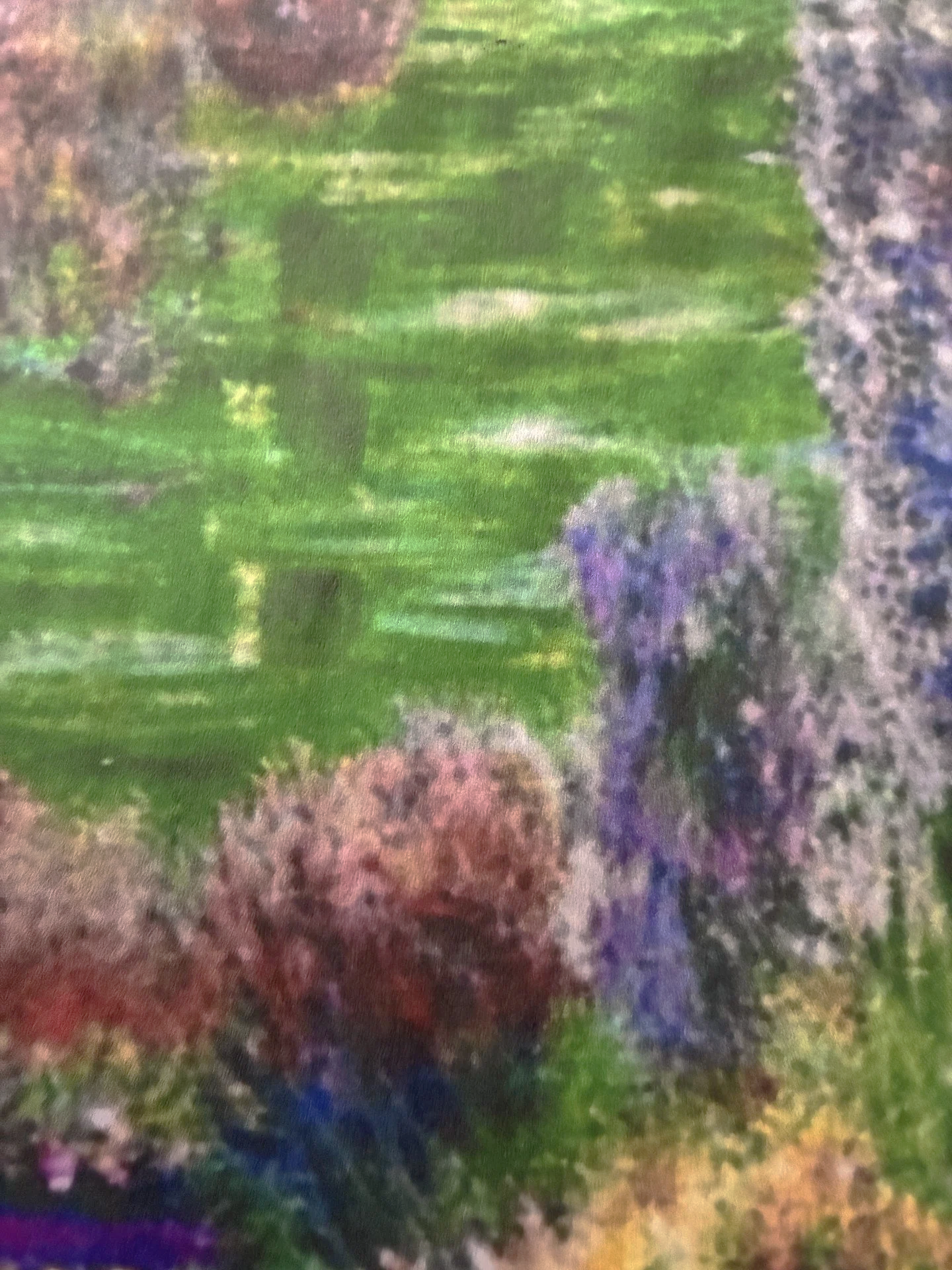 In+D+Flower+Field.png