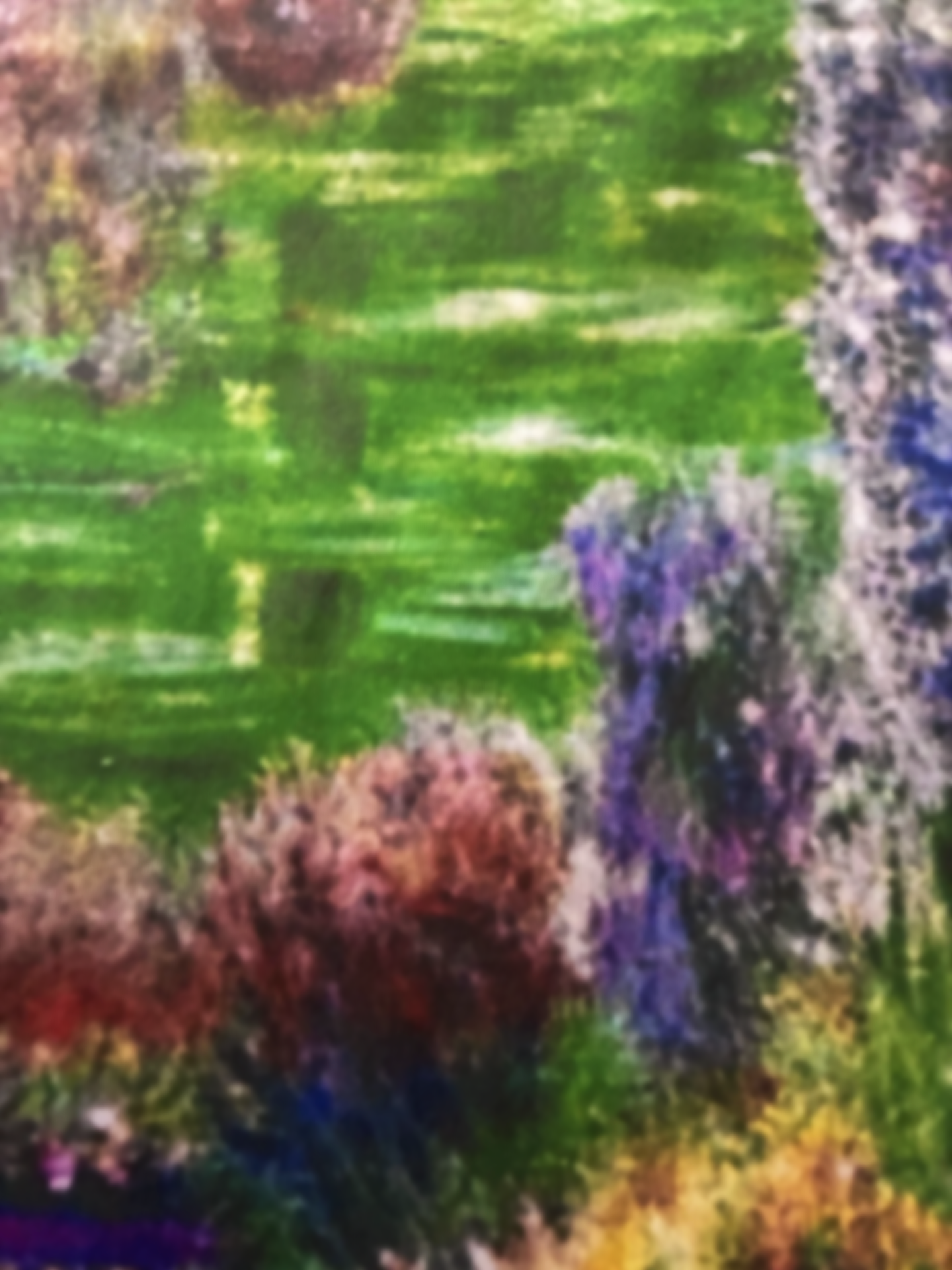 In+D+Flower+Field.png