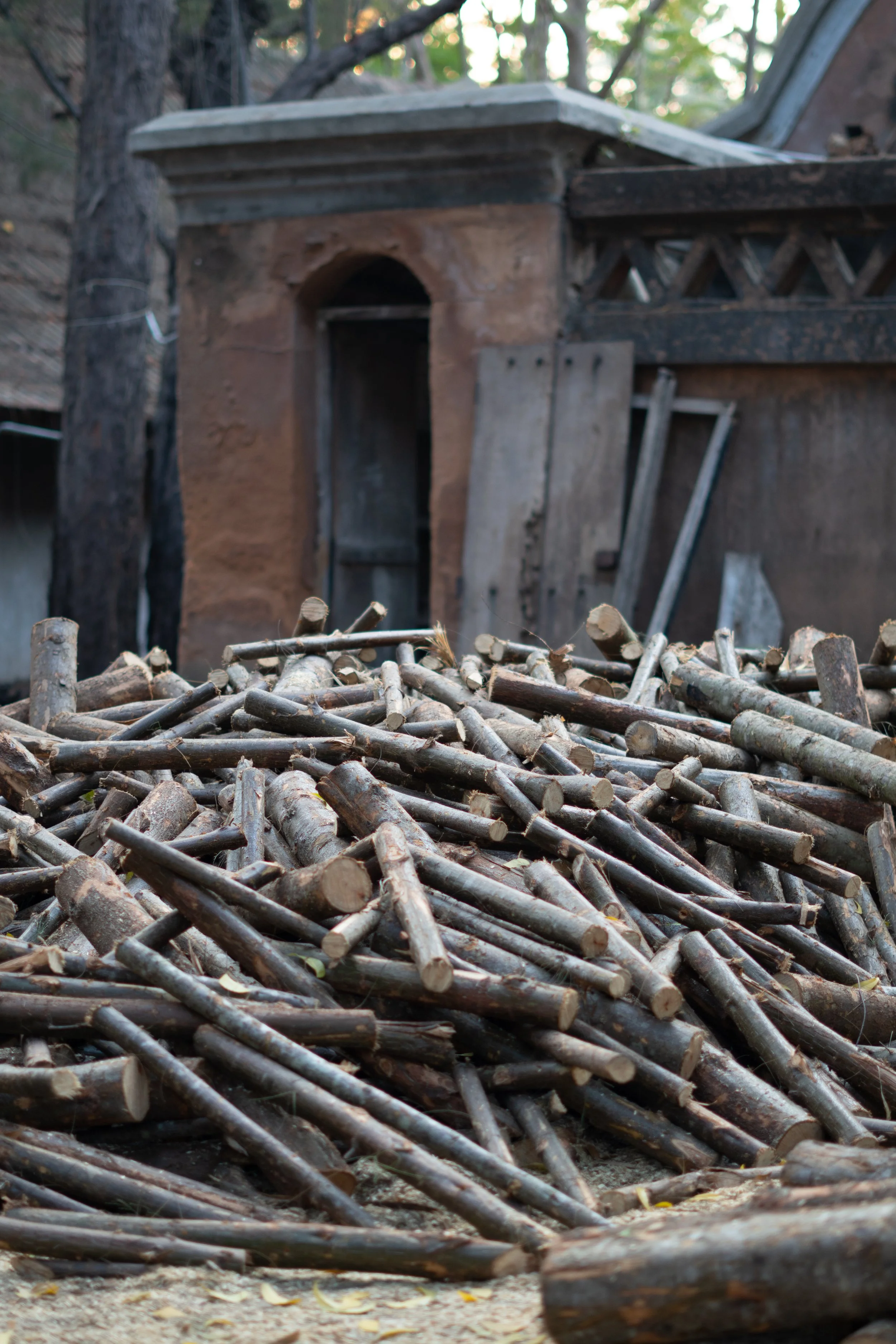 A large pile of cut logs in front of a rustic outdoor structure with a clay or adobe fireplace and wooden lattice walls.
