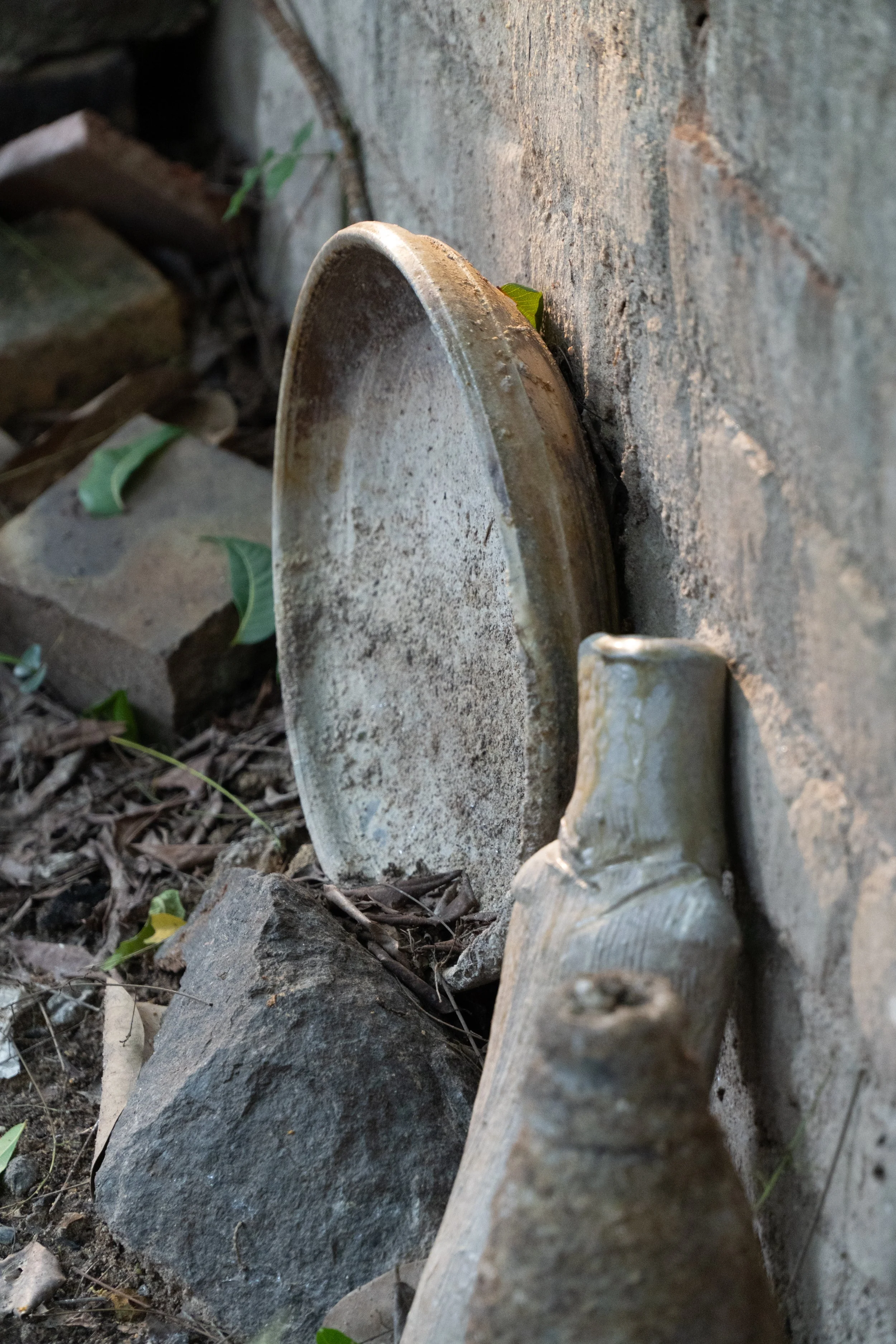 Close-up of a rusty metal can lying on the ground among rocks, dirt, and small green plants.