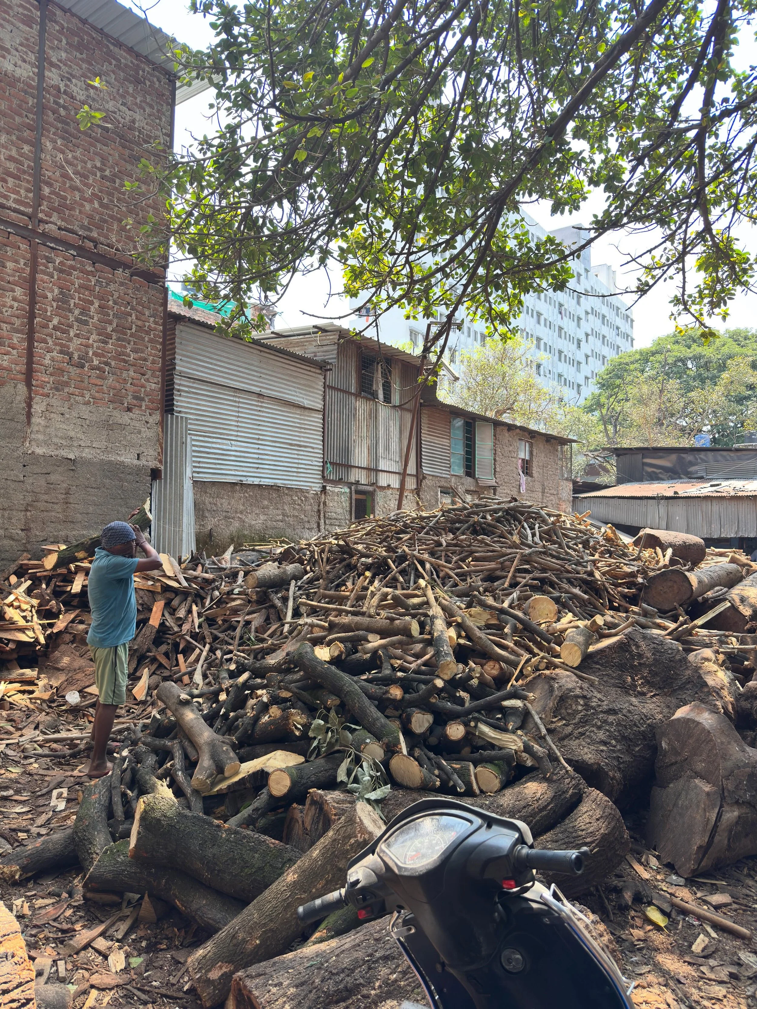 As part of my residency here at @ceramicstudiomitid I am conducting research into firing with locally available timber and assessing the results it gives on wood fired ceramics. Yesterday I got to visit wood nerds nirvana, abundant local soft and har