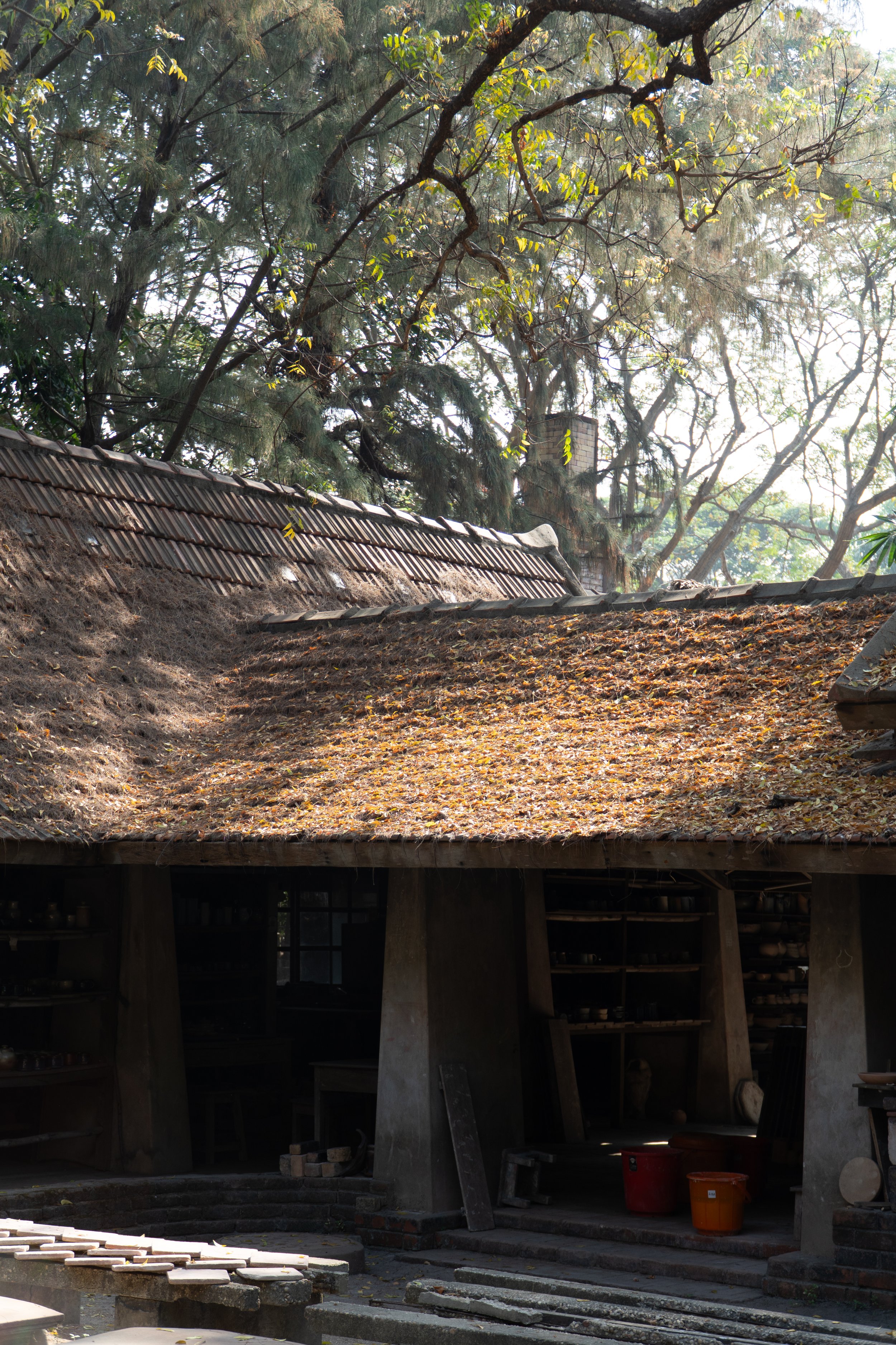 A rustic building with an old, weathered tiled roof surrounded by tall trees with sunlight filtering through the branches and leaves.