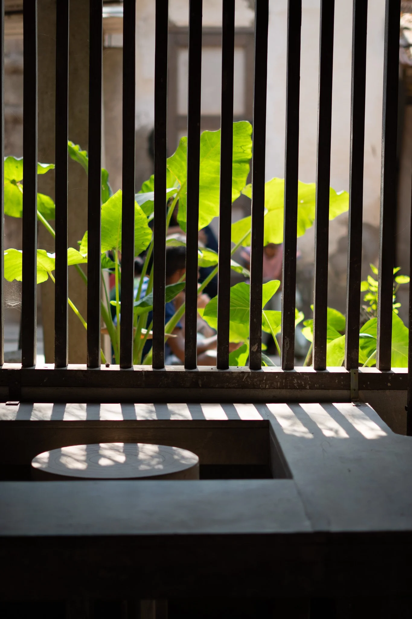 View through a window with vertical black bars, showing green leaves of a plant outside and a blurred background.