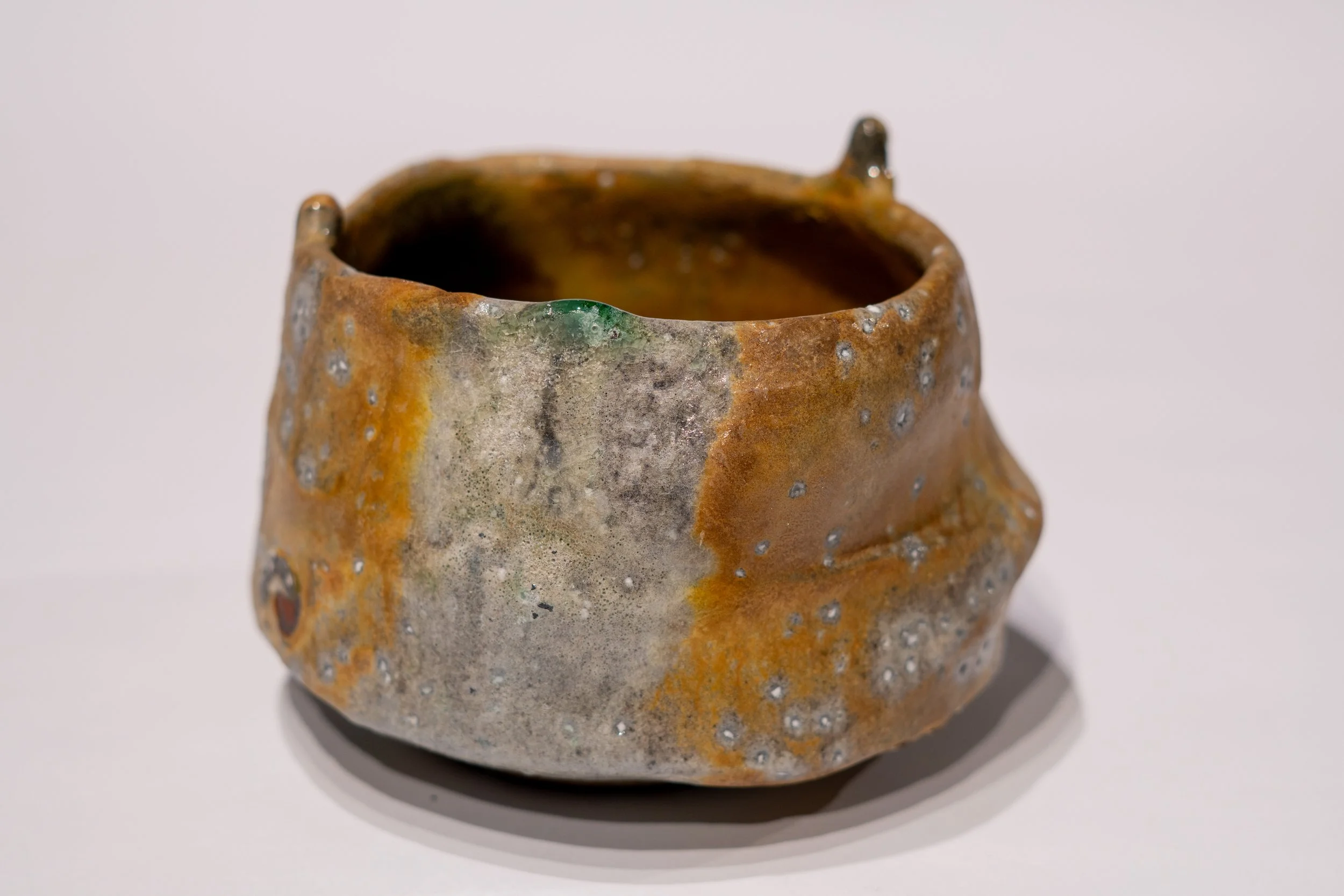 16_MACKEE_Anagama Tea Bowl with ash drips_India_2026.jpg