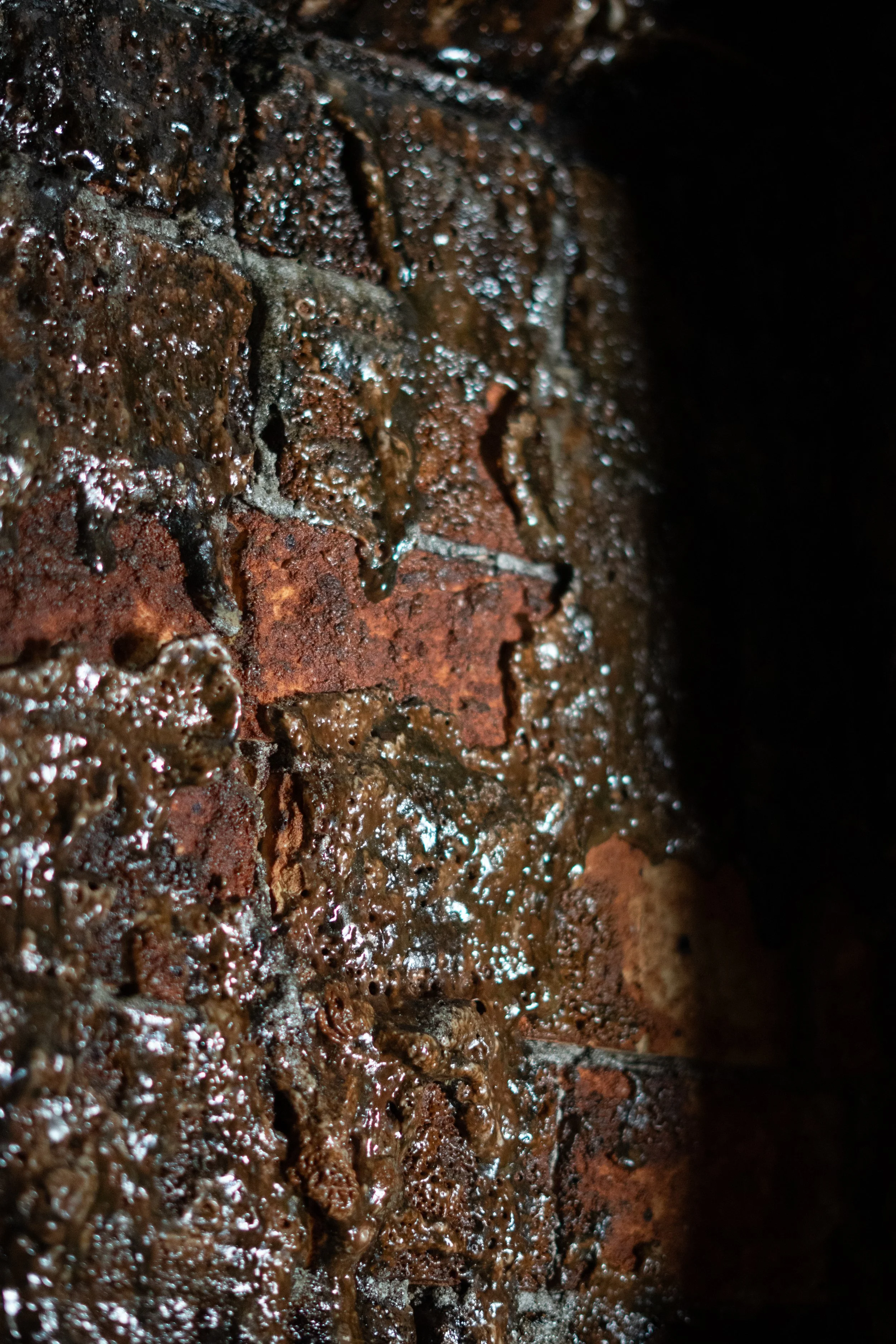 Close-up of wet, dark brown bricks with some reddish hues and mortar, appearing glossy and textured.