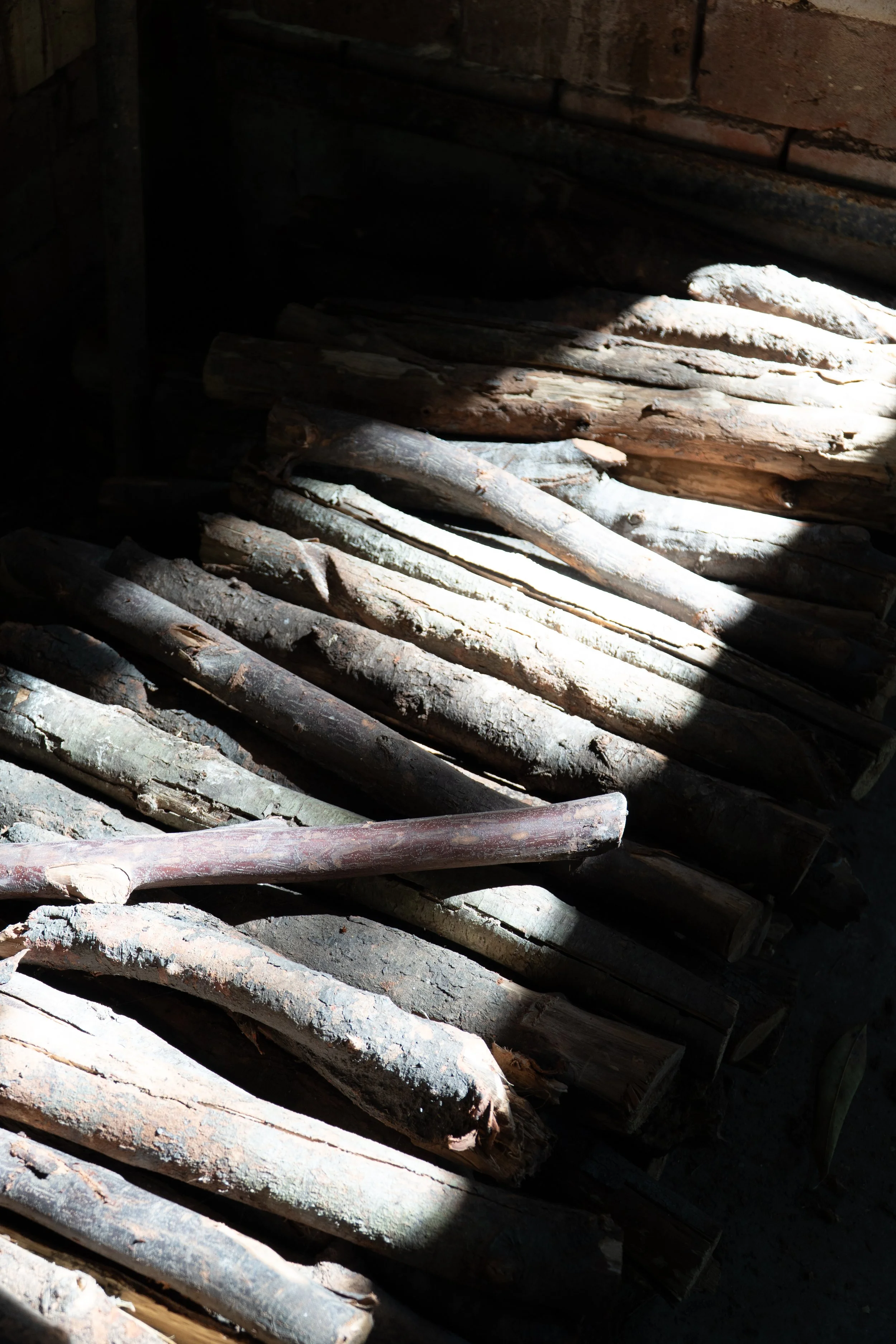 A pile of weathered, fallen wooden logs in a dimly lit area with shadows and some sunlight.