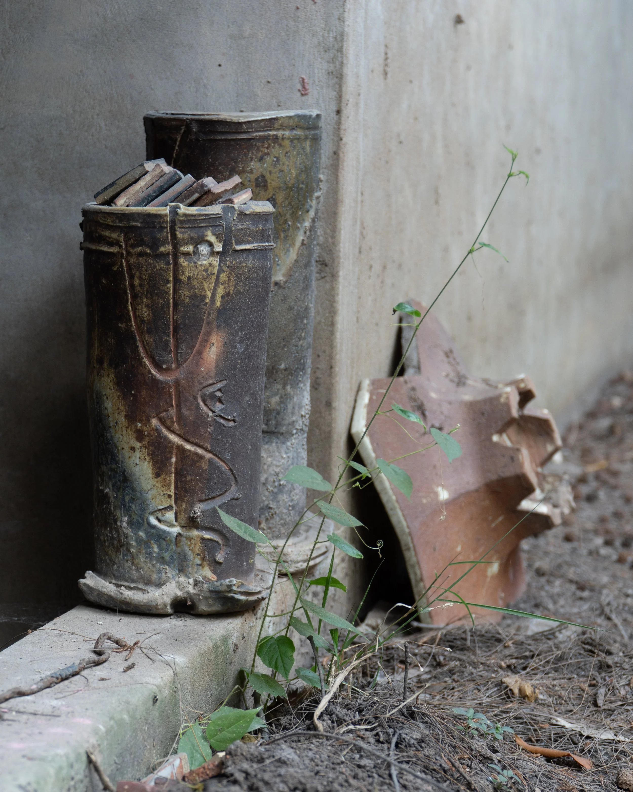 Close-up of an old, rusty metal pipe with peeling paint, embedded in a concrete wall, with green plants and soil at its base.