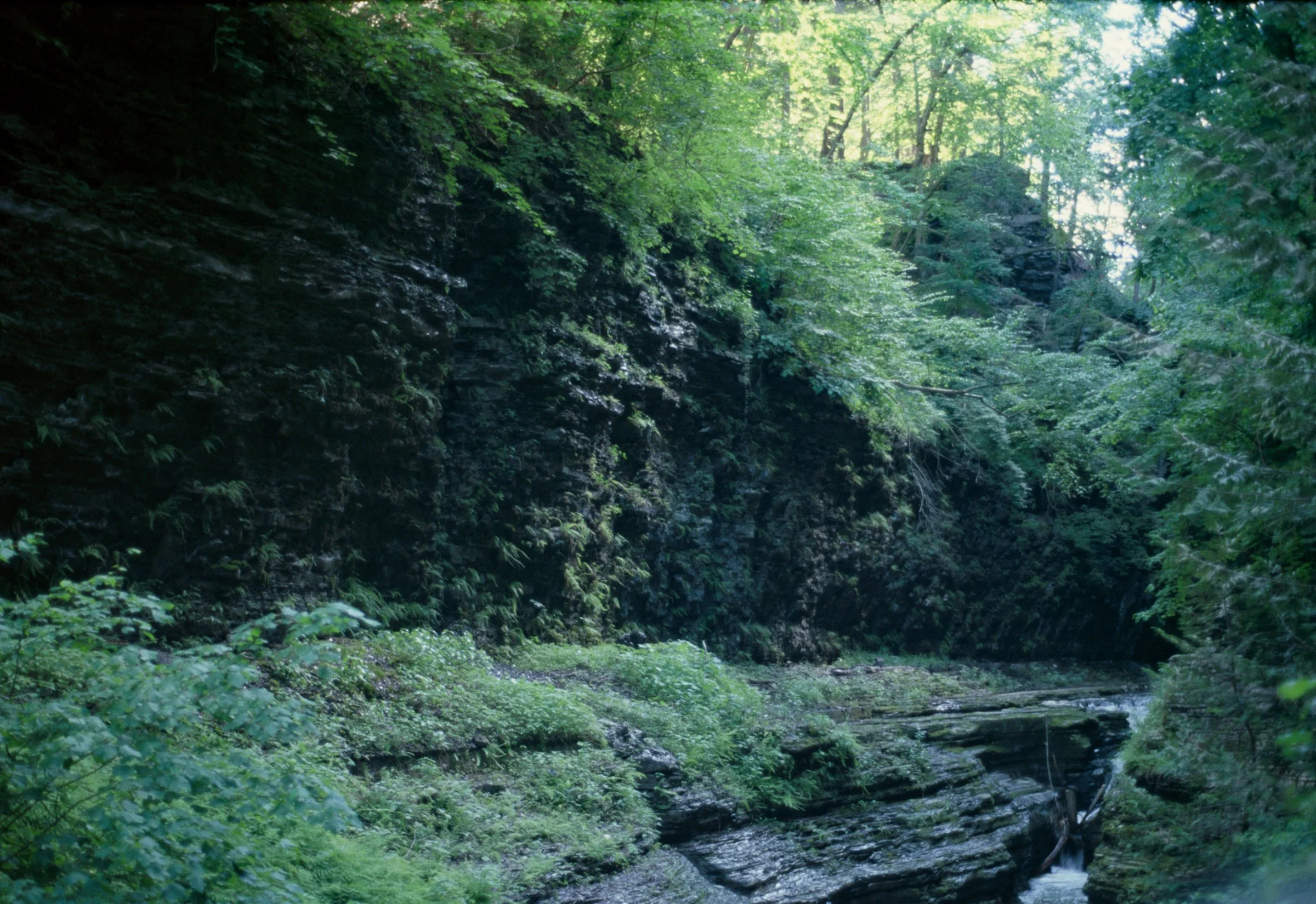 state park-8.jpg
