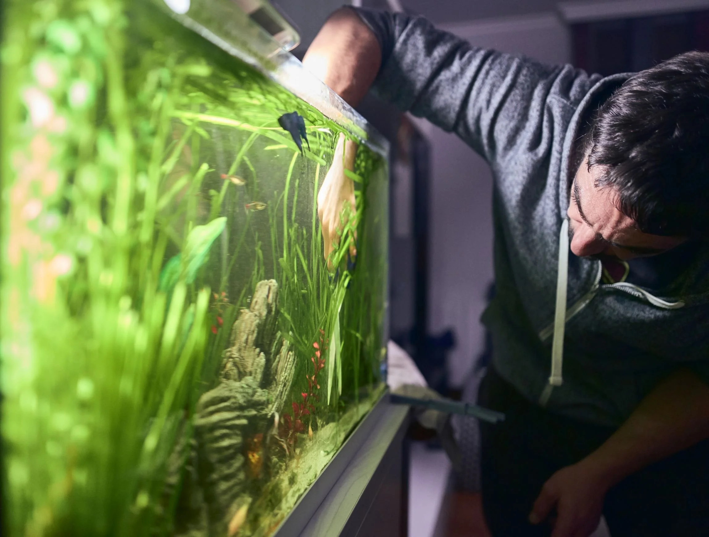 Tank Maintenance
