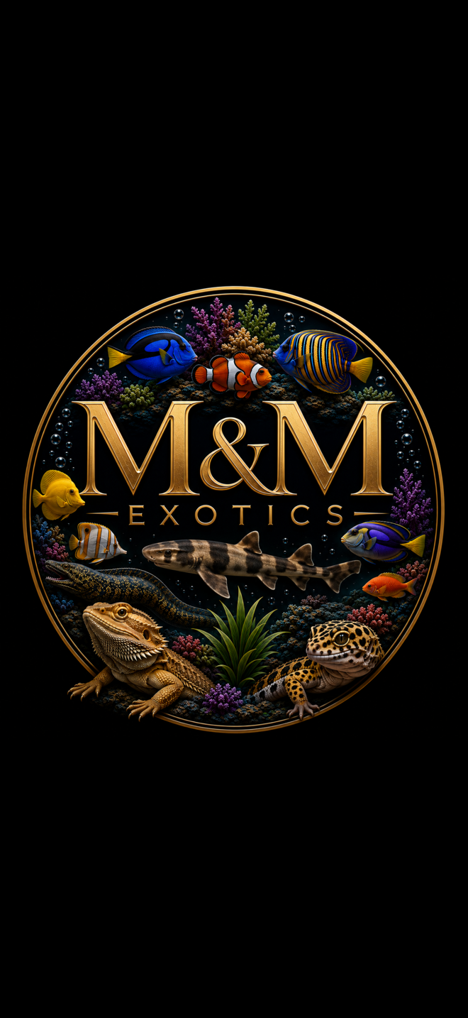 Logo for M&M Exotic with freshwater fish, coral, a lizard, and a gecko, set in an oval frame on a black background.