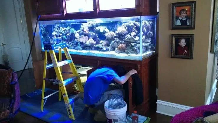 Yearly Tank Maintenance