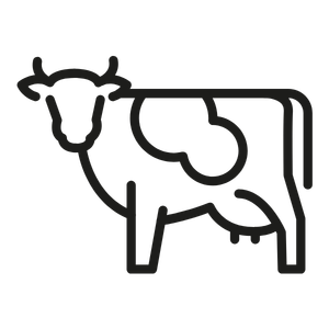 Simple black line drawing of a cow