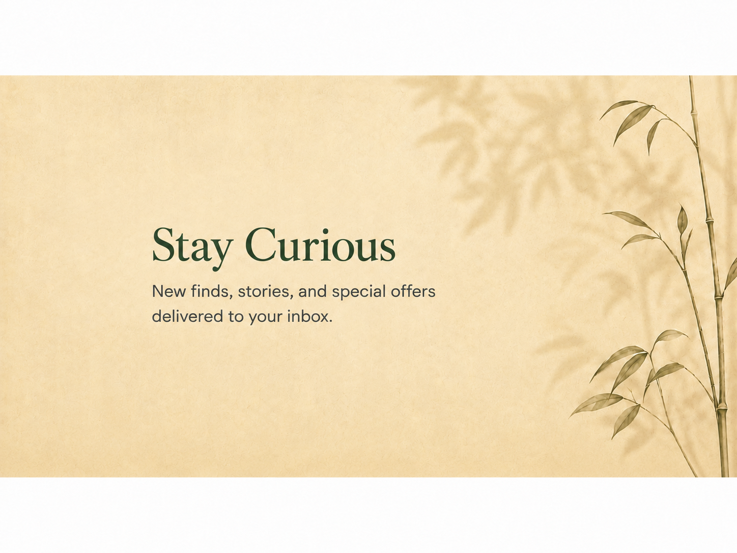 Newsletter invitation reading “Stay Curious” with the message “New finds, stories, and special offers delivered to your inbox