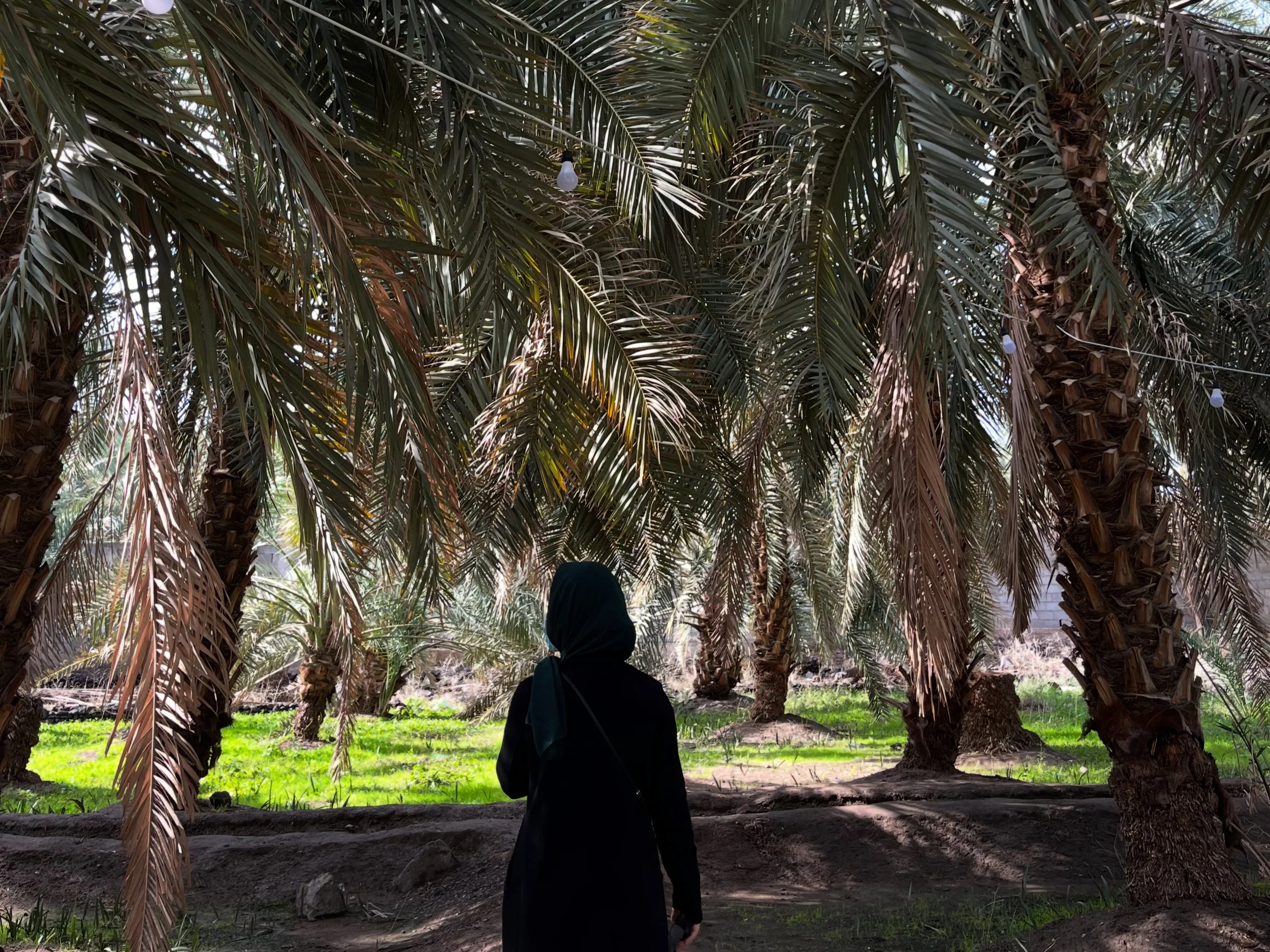 Person wearing a black headscarf standing underneath palm trees in a green outdoor area.